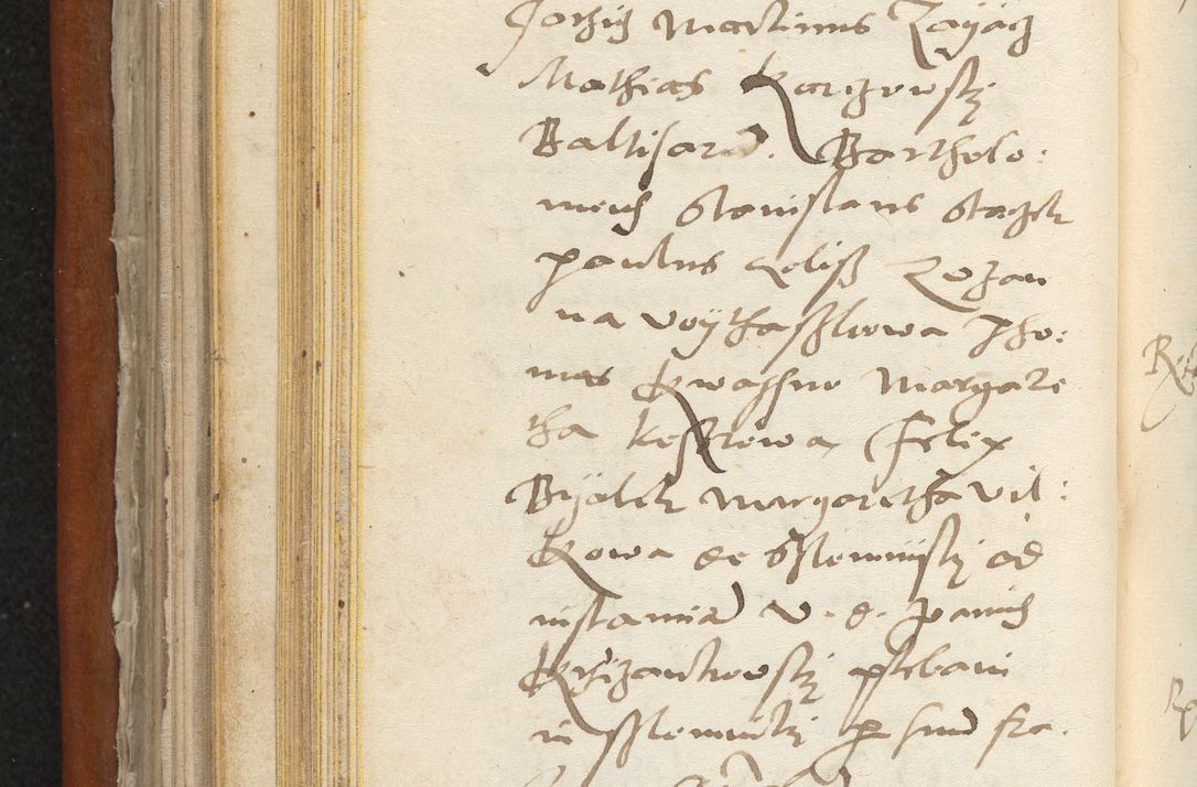 Zdjęcie nr 233 dla obiektu archiwalnego: Acta constitucionum coram reverendo patre domino Paulo Crassowski Warschoviensi et Omnium Sanctorum in Cracovia praeposito et officiali generali Craccoviensi ad annum Domini 1545, a die et mense infrascriptis foeliciter continuantur