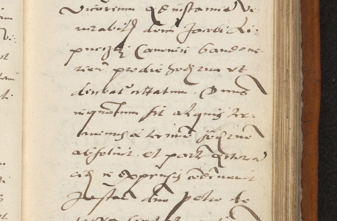 Zdjęcie nr 222 dla obiektu archiwalnego: Acta constitucionum coram reverendo patre domino Paulo Crassowski Warschoviensi et Omnium Sanctorum in Cracovia praeposito et officiali generali Craccoviensi ad annum Domini 1545, a die et mense infrascriptis foeliciter continuantur