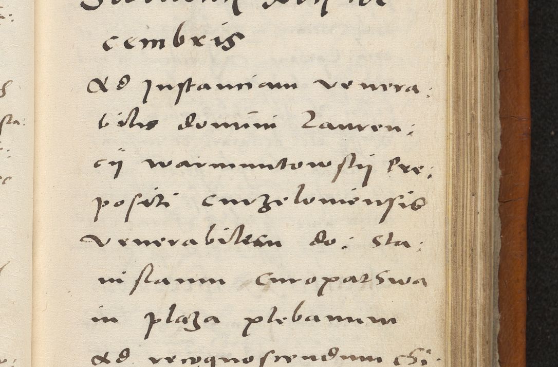Zdjęcie nr 224 dla obiektu archiwalnego: Acta constitucionum coram reverendo patre domino Paulo Crassowski Warschoviensi et Omnium Sanctorum in Cracovia praeposito et officiali generali Craccoviensi ad annum Domini 1545, a die et mense infrascriptis foeliciter continuantur