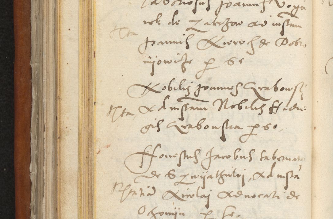 Zdjęcie nr 219 dla obiektu archiwalnego: Acta constitucionum coram reverendo patre domino Paulo Crassowski Warschoviensi et Omnium Sanctorum in Cracovia praeposito et officiali generali Craccoviensi ad annum Domini 1545, a die et mense infrascriptis foeliciter continuantur