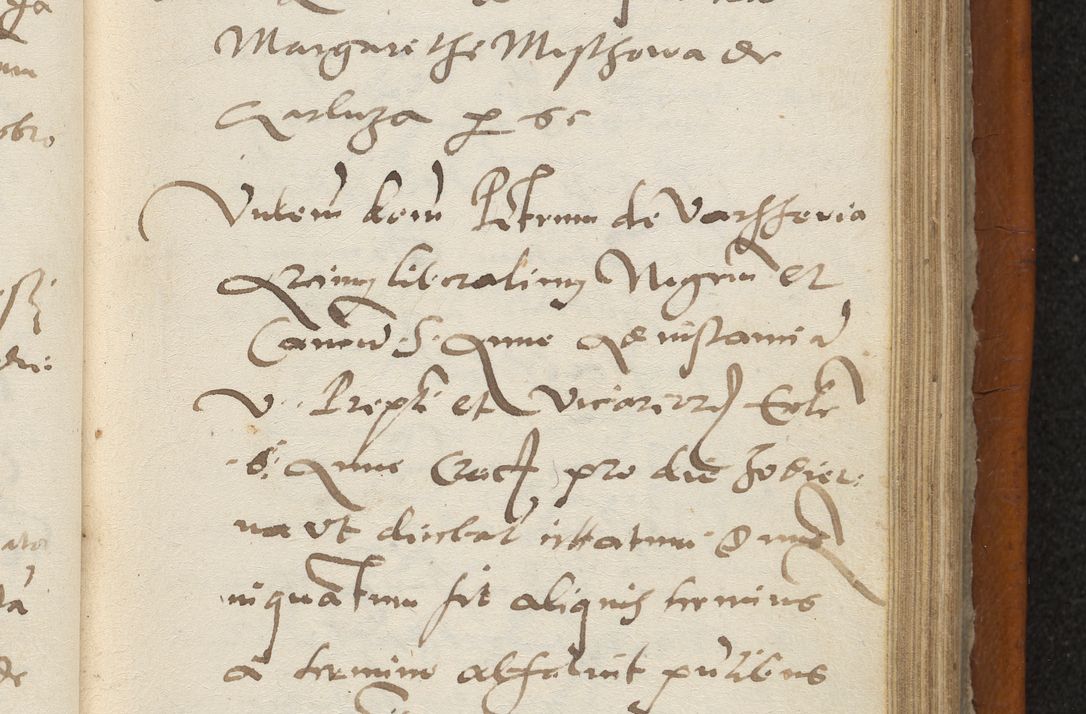 Zdjęcie nr 220 dla obiektu archiwalnego: Acta constitucionum coram reverendo patre domino Paulo Crassowski Warschoviensi et Omnium Sanctorum in Cracovia praeposito et officiali generali Craccoviensi ad annum Domini 1545, a die et mense infrascriptis foeliciter continuantur