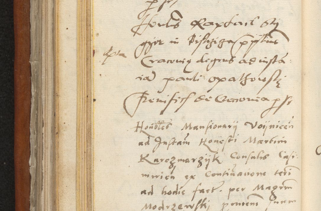 Zdjęcie nr 217 dla obiektu archiwalnego: Acta constitucionum coram reverendo patre domino Paulo Crassowski Warschoviensi et Omnium Sanctorum in Cracovia praeposito et officiali generali Craccoviensi ad annum Domini 1545, a die et mense infrascriptis foeliciter continuantur