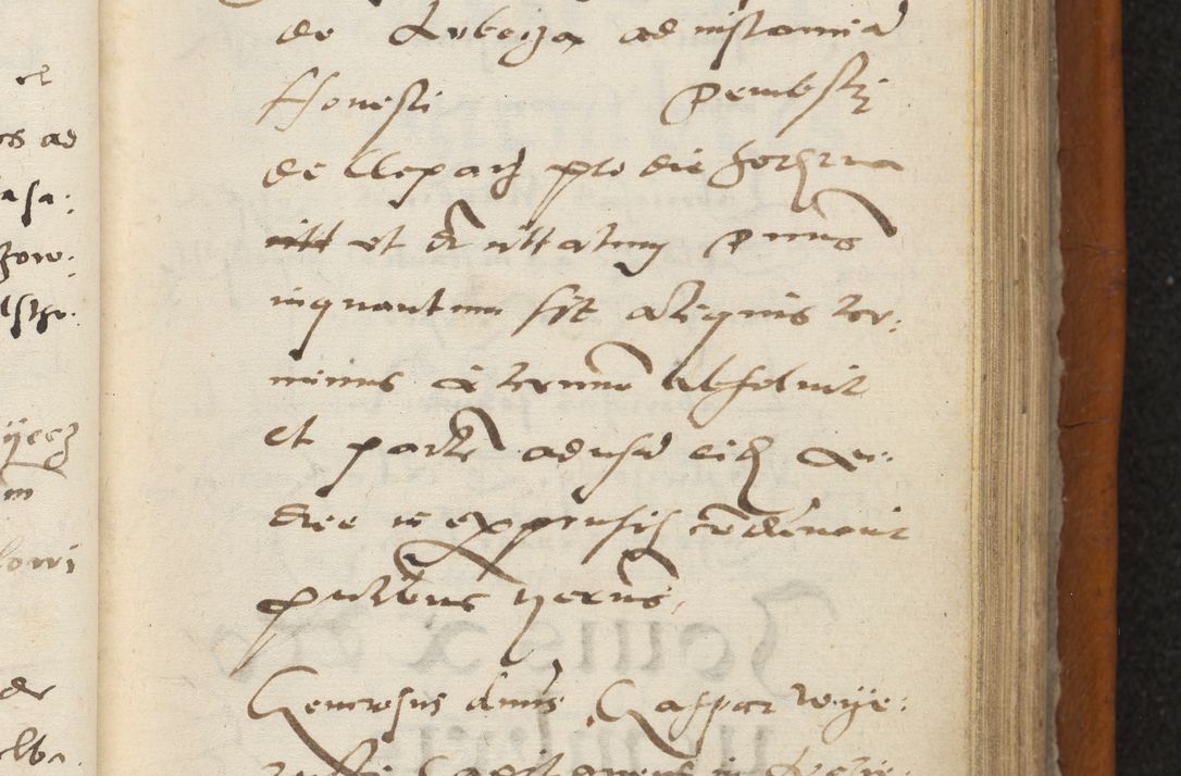 Zdjęcie nr 212 dla obiektu archiwalnego: Acta constitucionum coram reverendo patre domino Paulo Crassowski Warschoviensi et Omnium Sanctorum in Cracovia praeposito et officiali generali Craccoviensi ad annum Domini 1545, a die et mense infrascriptis foeliciter continuantur