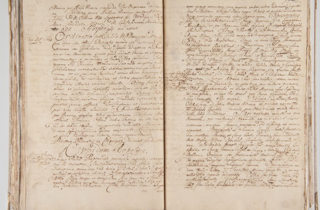 Zdjęcie nr 169 dla obiektu archiwalnego: Acta visitationis interioris decanatuum Radomiensis, Zwoliensis ad jurisdictionem decani Kielcensis pertinentium ex anno 1617 