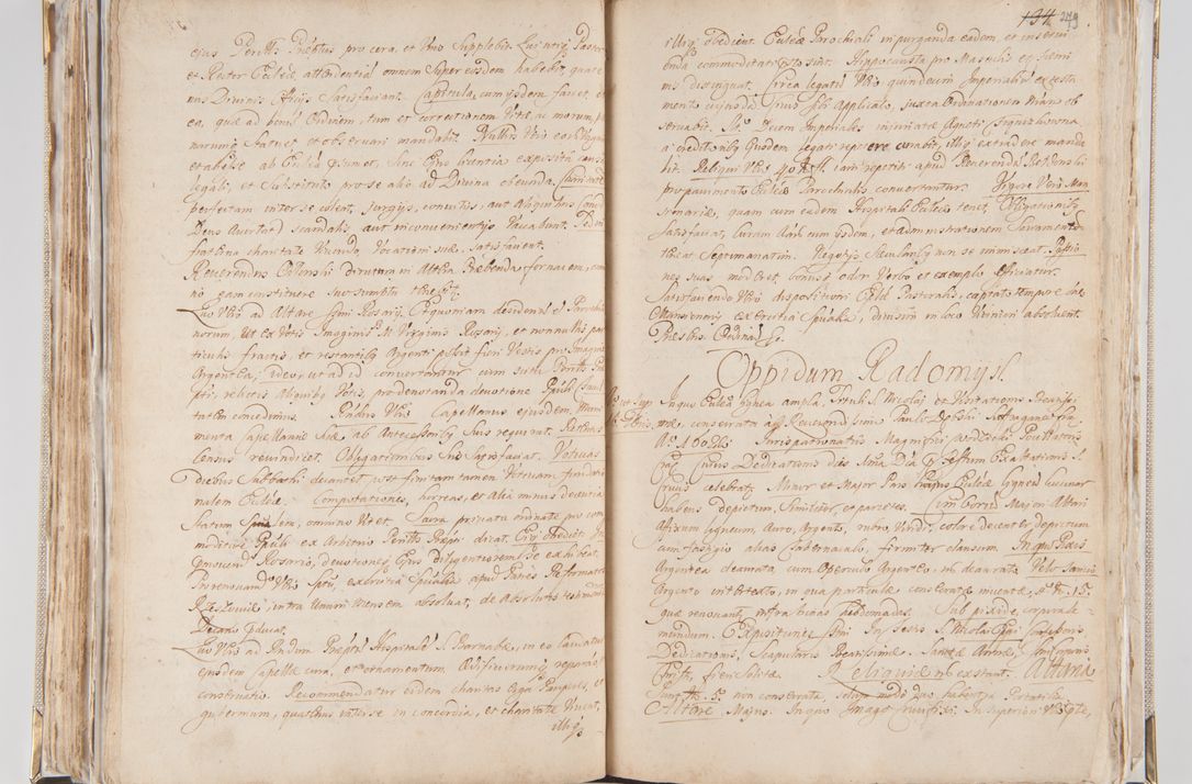 Zdjęcie nr 155 dla obiektu archiwalnego: Acta visitationis interioris decanatuum Radomiensis, Zwoliensis ad jurisdictionem decani Kielcensis pertinentium ex anno 1617 