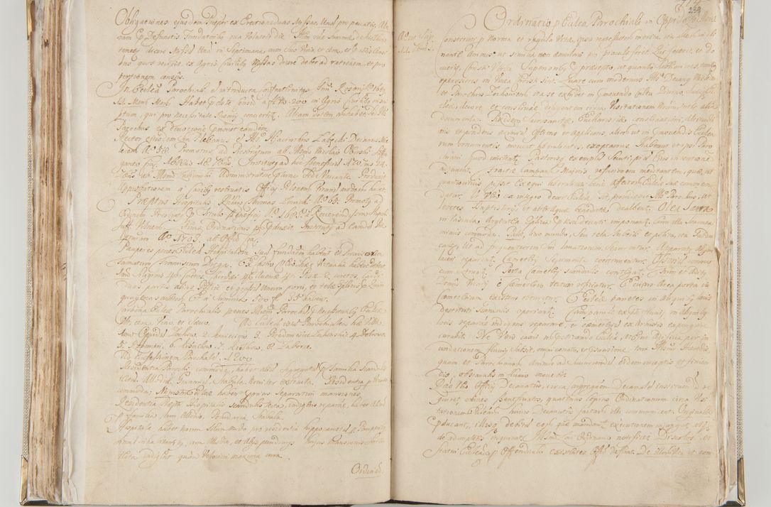 Zdjęcie nr 134 dla obiektu archiwalnego: Acta visitationis interioris decanatuum Radomiensis, Zwoliensis ad jurisdictionem decani Kielcensis pertinentium ex anno 1617 