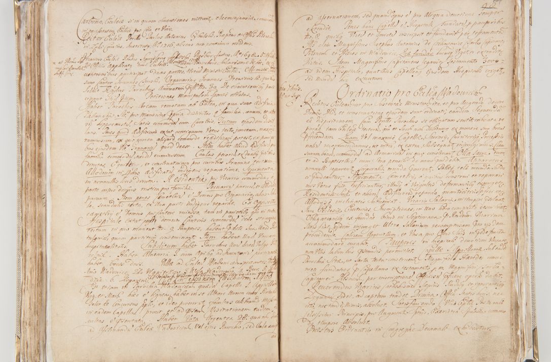 Zdjęcie nr 117 dla obiektu archiwalnego: Acta visitationis interioris decanatuum Radomiensis, Zwoliensis ad jurisdictionem decani Kielcensis pertinentium ex anno 1617 