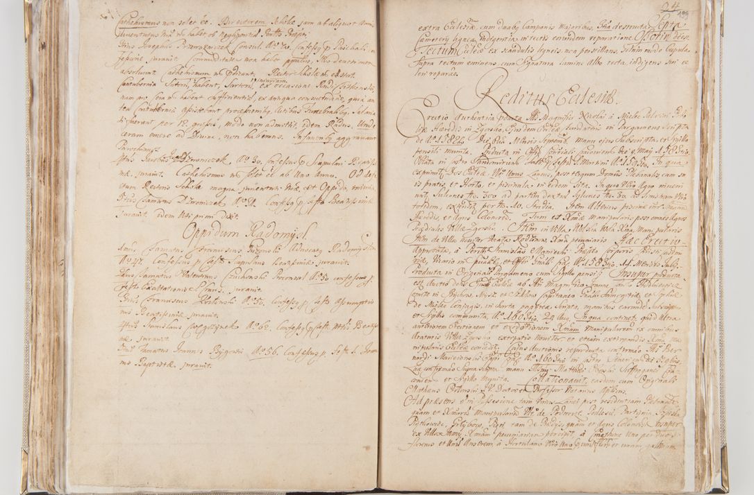 Zdjęcie nr 113 dla obiektu archiwalnego: Acta visitationis interioris decanatuum Radomiensis, Zwoliensis ad jurisdictionem decani Kielcensis pertinentium ex anno 1617 