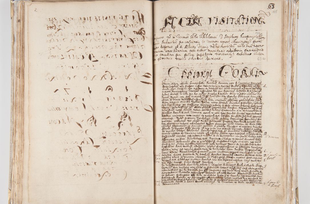 Zdjęcie nr 80 dla obiektu archiwalnego: Acta visitationis interioris decanatuum Radomiensis, Zwoliensis ad jurisdictionem decani Kielcensis pertinentium ex anno 1617 