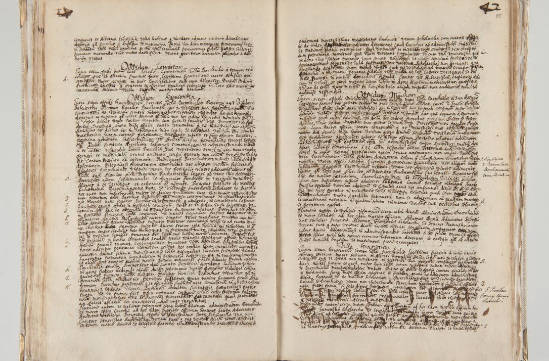 Zdjęcie nr 55 dla obiektu archiwalnego: Acta visitationis interioris decanatuum Radomiensis, Zwoliensis ad jurisdictionem decani Kielcensis pertinentium ex anno 1617 
