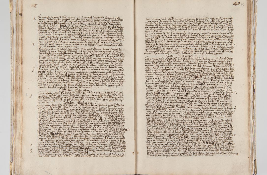 Zdjęcie nr 53 dla obiektu archiwalnego: Acta visitationis interioris decanatuum Radomiensis, Zwoliensis ad jurisdictionem decani Kielcensis pertinentium ex anno 1617 