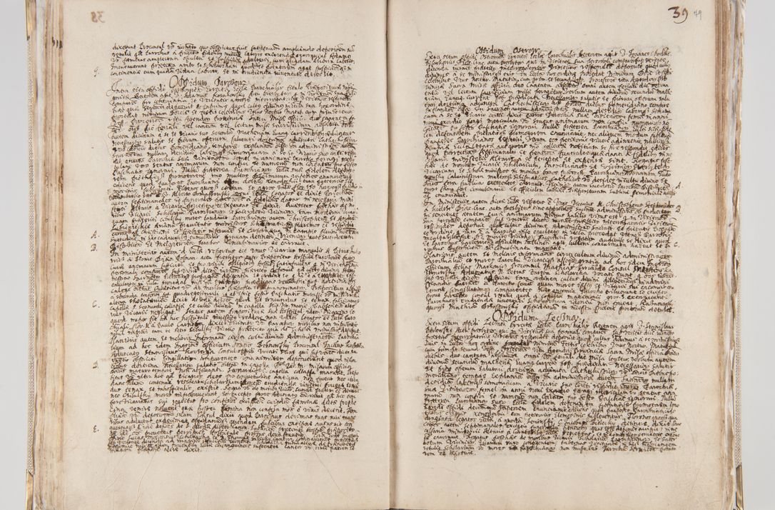 Zdjęcie nr 52 dla obiektu archiwalnego: Acta visitationis interioris decanatuum Radomiensis, Zwoliensis ad jurisdictionem decani Kielcensis pertinentium ex anno 1617 