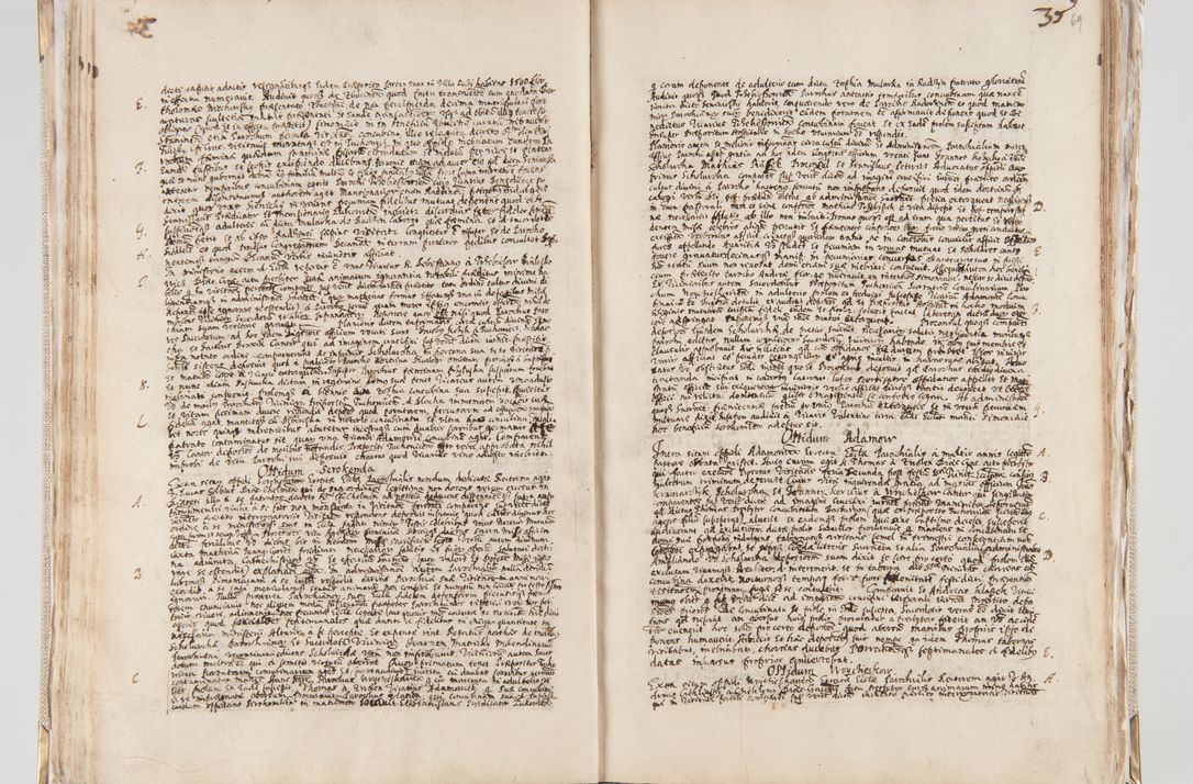 Zdjęcie nr 47 dla obiektu archiwalnego: Acta visitationis interioris decanatuum Radomiensis, Zwoliensis ad jurisdictionem decani Kielcensis pertinentium ex anno 1617 