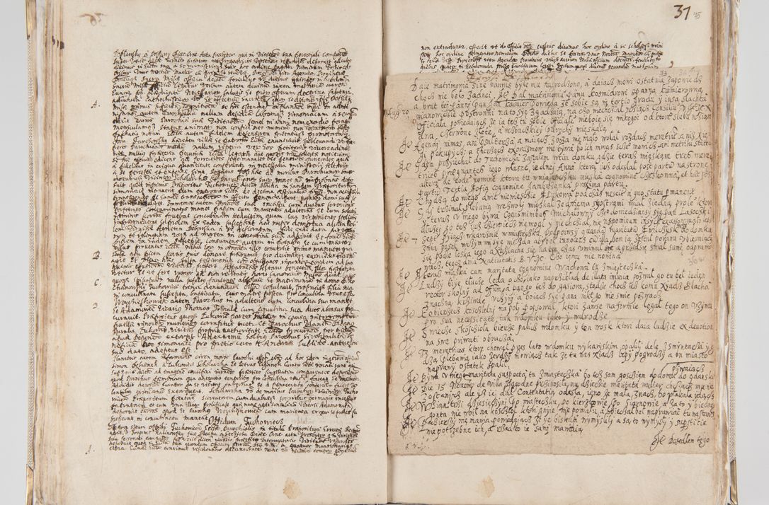 Zdjęcie nr 49 dla obiektu archiwalnego: Acta visitationis interioris decanatuum Radomiensis, Zwoliensis ad jurisdictionem decani Kielcensis pertinentium ex anno 1617 