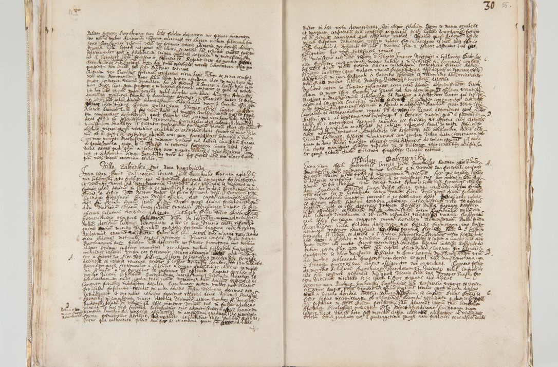 Zdjęcie nr 40 dla obiektu archiwalnego: Acta visitationis interioris decanatuum Radomiensis, Zwoliensis ad jurisdictionem decani Kielcensis pertinentium ex anno 1617 