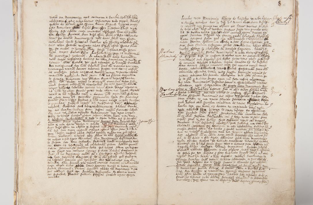 Zdjęcie nr 19 dla obiektu archiwalnego: Acta visitationis interioris decanatuum Radomiensis, Zwoliensis ad jurisdictionem decani Kielcensis pertinentium ex anno 1617 