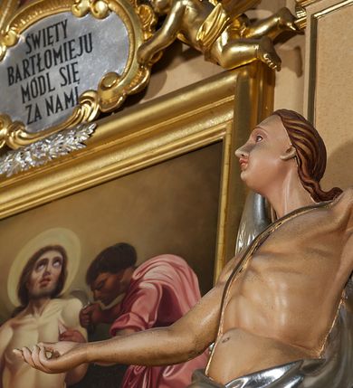 Zdjęcie nr 5: Ołtarz przyścienny, architektoniczny, jednoosiowy, jednokondygnacyjny ze zwieńczeniem. Mensa prostopadłościenna na profilowanym cokole, antepedium dekorowane trzema płycinami z plakietami z ornamentu roślinnego. Tabernakulum architektoniczne, w formie prostopadłościanu na profilowanym cokole, o ujętym wolutami wklęsło-wypukłym zwieńczeniu. Na ścianie frontowej drzwiczki w kształcie stojącego prostokąta zamkniętego łukiem nadwieszonym z uskokiem. Nastawa ołtarzowa ujęta  pilastrami z płycinami ustawionymi na wysokich cokołach, na których wspierają się konsole podtrzymujące rzeźby aniołów. Podpory dźwigają pełne, wyłamane na ich osiach belkowanie, na którym posadowiono figury aniołków. W centrum kondygnacji prostokątna nisza mieszcząca obraz „Męczeństwo św. Bartłomieja”, ujęta prostokątną ramą dekorowaną w czterech miejscach kwitnącymi różami z liśćmi. Między polem obrazowym a belkowaniem kondygnacji unoszony przez dwa anioły kartusz z inskrypcją „ŚWIĘTY / BARTŁOMIEJU / MÓDL SIĘ / ZA NAMI”. Zwieńczenie o kształcie wklęsło-wypukłym, ujęte ulistnionymi wolutami, wypełnione obrazem powtarzającym jego kształt, przedstawiającym Jezusa Chrystusa. Na szczycie krzyż równoramienny o ramionach zakończonych trójlistnie, na tle glorii.  Struktura ołtarza w kolorze kremowym; profile, detale i ornamenty złocone i srebrzone.