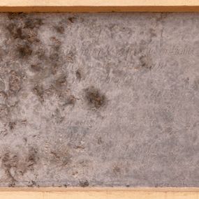 Zdjęcie nr 1: Płyta o formie leżącego prostokąta. W polu inskrypcja „D(eo) O(ptimo) M(aximo / Józefowi Katarzyńskiemu i Maryannie Małżonce Jego / Obywatelom Niepołomskim / tu pogrzebionym / Rodzicom dobroczynnym i dobrym / Syn wdzięczny Franciszek Katarzyński / ostatni dowód miłości / na tym głazie rysuie / dnia 21 Lutego 1811 Roku / za których Duszę o westchnienie do Boga żebrzą.”