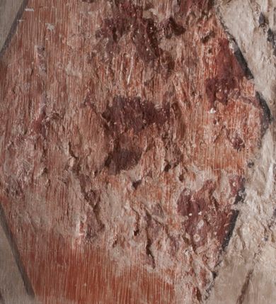 Zdjęcie nr 7: Polichromia pokrywa ściany i sklepienie kolebkowe z lunetami czworobocznej, dwuprzęsłowej zakrystii. Pole sklepienia wypełnia dekoracja ornamentalna utworzona ze zawijanych liści akantu, stylizowanych kwiatów oraz wazonów z kwiatami. Pośrodku sklepienia umieszczono w owalu w kartuszu fragmentarycznie zachowaną scenę Koronacji Marii. W centrum kompozycji zachowała się głowa Marii ujęta w trzy czwarte w prawo z widocznym fragmentem prawego ramienia i ułożonej do modlitwy prawej ręki. Po prawej stronie widać postać tronującego Boga Ojca w złotej koronie, z brodą, trzymającego złotą koronę nad głową Marii. Z lewej można dostrzec fragment ręki Chrystusa oraz fragment jego czerwonej szaty i lewej stopy. Na ścianie wschodniej dekorację malarską w postaci wici utworzonej ze stylizowanych liści akantu i kwiatów poprowadzono w glifie okiennym. Wokół okna utworzono malowane obramienie z motywami stylizowanego ornamentu rollwerkowego. Ponad oknem w glifie znajduje się malowany chrystogram "IHS". Po prawej stronie okna widoczne jest całopostaciowe przedstawienie proroka Eliasza z rozłożonymi rękami. Postać została ujęta w trzech czwartych w prawo. Ma pociągłą twarz okoloną zarostem z wydatnym nosem i ustami. Ubrana jest w strój wschodni - długą szatę z bladoczerwonym płaszczem z kołnierzykiem spiętym przy szyi oraz z rozciętymi rękawami. Na głowie ma szaroniebieski turban. Ponad nim widać lecącego kruka. Obok mężczyzny z prawej strony widoczna jest niewielka sekwencja krajobrazowa z motywem drzewa. Eliasz zwrócony jest w stronę sceny z Ostatnią Wieczerzą wykonaną w pierwszym przęśle ściany południowej zakrystii. Ostatnią Wieczerzę z prawej strony zamyka malowana kolumna z kapitelem rozdzielająca ścianę na dwa przęsła. Na tle altany ze schodami po lewej, flankowanej trzema kolumnami na wysokich cokołach, ukazano Chrystusa i dwunastu apostołów siedzący przy okrągłym, okazałym stole. Ponad stołem wisi płonącą lampa. Stół nakryto białym obrusem zastawionym siedmioma talerzami, owalną misą pośrodku, trzema okrągłymi bochenkami chleba, dwoma nożami i kielichem. Siedzący centralnie za stołem Chrystus został ukazany frontalnie. Zbawiciel ma zmęczoną twarz otoczoną brodą i długimi włosami, spływającymi na ramiona. Ubrany jest w białą tunikę i niebieski płaszcz przerzucony przez lewe ramię. O jego pierś opiera się zamyślony św. Jan, wspierający głowę na prawej ręce trzymanej na stole. Lewą rękę położoną na blacie ma zgiętą w łokciu. Wokół stołu siedzą rozmawiający ze sobą pozostali apostołowie. Są to starsi, brodaci mężczyźni, niektórzy z nich są łysi. Ubrani są w tuniki i narzucone na ramionach płaszcze. Można spośród nich wyróżnić siedzącego po prawe strony Chrystusa św. Piotra oraz Judasza widocznego jako pierwszego po lewej stronie kompozycji. Judasza ukazanego frontalnie identyfikuje żółta szata oraz trzymany w prawej ręce mieszek ze srebnikami. Powyżej w podłuczu lunety namalowano siedzącego, starszego brodatego mężczyznę ujętego w trzech czwartych w prawo. Jest to ewangelista widoczny do kolan. Prawą rękę przyciska do piersi lewą zaś opiera o stół ustawiony z prawej strony kompozycji z ułożoną na nim księgą. Jego twarz charakteryzuje wydatny nos i usta oraz spojrzenie skierowane na widza. W drugim przęśle ściany  
południowej dekoracje tworzy stylizowana wić akantowo-kwiatowa w glifie okiennym oraz otaczające okno obramienie utworzone z motywów rollwerkowych. Nie zachowała się polichromia w lunecie powyżej okna. Na zachodniej ścianie w glifie dawnego otworu wejściowego obramionego żółtą listwą, wykonano dekorację malarską składającą się z malowanych romboidalnych płycin pokrytych czerwonawą marmoryzacją. Ponad glifem na ścianie znajduje się czerwony krzyż równoramienny rozdzielający datę 16 / 46. Na ścianie z prawej strony otworu wyobrażono Ukrzyżowanie Chrystusa na polu pokrytym licznymi, stojącymi krzyżami. Postać Zbawiciela zachowała się fragmentarycznie w partii tułowia i nóg. Powyżej pole w lunecie ozdobiono stylizowaną wicią akantowo-kwiatową. Ścianę północną w pierwszym przęśle wypełnionym szafą zakrystyjną udekorowano rozpostartym, czerwonym paludamentum z baldachimem. Powyżej w lunecie zachowało się bardzo zniszczone przedstawienie św. Jana Ewangelisty, którego można rozpoznać po młodzieńczej, pociągłej twarz o wydatnych rysach. Z postaci zachowały się jeszcze  fragmenty stóp widoczne nad baldachimem. W drugim prześle w dolnej strefie przepruto drzwi z otworem zamkniętym łukiem odcinkowym, obramienionym złocistą taśmą. W nadprożu znalazła się stylizowana wić akantowo-kwiatowa. Powyżej, w górnej strefie namalowano modlitwę Chrystusa w Ogrójcu. Na pierwszym planie kompozycji widoczny jest klęczący na ziemi Zbawiciel ujęty w trzech czwartych w prawo. Lewą rękę ma przyłożoną do piersi, drugą zaś odsuniętą od tułowia. Jego uniesioną głowę ku górze otacza ciemna broda i długie włosy spływające na plecy. Chrystus ma wydatny nos i usta. Ubrany jest w obszerną, jasnooliwkową tunikę przewiązaną w pasie oraz niebieskoszary płaszcz przerzucony przez lewe ramię i rękę. Jezus wpatruje się w zjawiającego mu się powyżej uskrzydlonego anioła ukazanego w dwóch trzecich na obłokach. Anioł w wyciągniętej prawej ręce trzyma złoty kielich, a prawą podtrzymuje opary o ramię krzyż. Ubrany jest w baldoczerwoną tunikę przewiązaną w pasie. Z prawej strony Jezusa widocznych jest trzech śpiących apostołów. Na pierwszym planie ukazano leżącego św. Piotra z głową wspartą na lewej ręce. Jest to starszy mężczyzna z łysym czołem i siwiejącymi włosami i brodą. Ubrany jest w bladoniebieską tunikę i ciemnoochrowy płaszcz. Za nim widać siedzącego św. Jana z głową wspartą na ręce, którą podpiera o prawe kolano. Jest to młodzieniec o długich włosach, ubrany w blado oliwkową tunikę i baldoczerwony płaszcz. O niewielki wzgórek z lewej strony Jana oparty jest św. Jakub. Jest to starszy mężczyzna z brązową brodą i włosami ubrany w bladooliwkowy płaszcz. Za Zbawicielem z lewej strony kompozycji widać drewniany płot z bramką, przez którą do ogrodu wchodzi Judasz w jasno-chórowej szacie, prowadzący zbrojny oddział sług świątynnych. W głębi kompozycji ukazano panoramę Jerozolimy. Powyżej na sklepieniu lunety wyobrażono siedzącego ewangelistę, który ukazany został jako starzec z długą siwą brodą i łysiejącym czołem. Mężczyzna wspierając prawą rękę o stół podpiera nią głowę. Lewą ma położoną na kolanie. Ubrany jest w szarą tunikę oraz bladoczerwony płaszcz przerzucony przez prawe ramię i okrywający kolana.    
