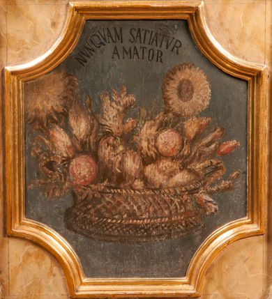 Zdjęcie nr 5: Para przyściennych stalli ustawionych po obu stronach prezbiterium w Niepołomicach uzyskała formę architektoniczną z wysokimi zapleckami i obudowanymi klęcznikami ustawionymi z przodu. Każda z nich otrzymała pięć siedzisk. Wejście do każdej znajduje się z boku i na środku. Przy wejściach z boku na przedpiersiu ustawiono cebulaste sterczyny na prostopadłościennych cokolikach. Zaplecki artykułowano za pomocą pilastrów o kompozytowych kapitelach dźwigających niepełne belkowanie z wydatnym gzymsem, wyłamane na ich osiach. Całość została zwieńczona pięcioma dekoracyjnymi wazami płomienistymi ustawionymi na prostopadłościennych cokolikach. W polach pomiędzy pilastrami umieszczono cztery profilowane, złocone ramy o rożnym kształcie (owalnym, czworobocznym, półkolistym i wielobocznym) z pojedynczymi przedstawieniami  świętych. W stalli południowej od lewej wyobrażono: św. Jana Kantego, Marcina Baryczkę, Świętosława Milczącego, św. Feliksa z Noli. Z kolei w stalli północnej od prawej ukazano: św. Filipa Nereusza, św. Jana Nepomucena, św. Walentego i św. Faustyna z Bresci. Świętych identyfikują czarne, majuskułowe podpisy, których kształt liter sugeruje, że zostały wprowadzone w pierwszej połowie XIX wieku. Poniżej każdego wizerunku na cokołach zaplecków w płycinach wyznaczonych prostokątnymi, złoconymi i profilowanymi ramkami znalazły się łacińskie sentencje. Także lica przedpiersi zostały artykułowane pilastrami na cokołach, jednakże bez dekoracyjnych głowic. Pomiędzy nimi w czworobocznych, profilowanych i złoconych ramach o wklęsłych narożach wyobrażono bukiety kwiatów. Kwiaty ukazano naprzemiennie w płaskich koszach lub wazach na niebieskim tle. Na niektórych bukietach widoczne są siedzące ptaki. Ponad bukietami znalazły się pisane czarnymi literami łacińskie sentencje. Elementy architektoniczne zostały pokryte marmuryzcją, a ramy i detale zdobnicze pozłocono. Na stalli na ścianie północnej ponad kapitelem skrajnego pilastra od zachodu widnieje data ich wykonania: A(NNO) D(OMINI) 1766. Z kolei na stalli na ścianie południowej, ponad kapitelem skrajnego pilastra od zachodu widnieją zapewne inicjały fundatora: X(IĄDZ). / TCD. W / P(LEBANUS) N(IEPOLOMICENSIS).