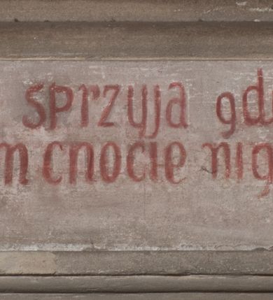 Zdjęcie nr 10: Obraz uzyskał kształt stojącego prostokąta zamkniętego łukiem pełnym. W pomieszczeniu o szarych ścianach, ukazano scenę narodzin św. Karola Boromeusza. Komnata otwiera sie z lewej strony na schematycznie przedstawiony pagórkowaty pejzaż. Wewnątrz na ukośnie ułożonym łożu, spoczywa matka świętego, trzymając ugięte w łokciach ręce na wysokości pasa. Łoże posiada zaplecek o fantazyjnym wykroju, a ponad nim widać podwieszoną u góry czerwoną kotarę. Leżąca kobieta ma owalną twarz o jasnej karnacji, okoloną jasnobrązowymi włosami opadającymi na ramiona. Ubrana jest w białą koszulę z długimi rękawami oraz czepiec na głowie. Za łożem po lewej stronie widoczna jest służąca podtrzymująca obiema rękami swą Panią. Niewiasta ubrana jest w jasnoniebieską suknię oraz białą chustę zakrywającą włosy. Przed łożem została ukazana położna owijająca w pieluszkę noworodka. Robi to na stole nakrytym niebieską tkaniną. Kobieta ubrana jest w białą koszulę z czerwonym gorsetem, zieloną spódnicę oraz biały fartuch i chustę na głowie. Niemowlę jest nagie. Wyciągając przed siebie rączki leży ukośnie na ramionach służki. Jego głowę okala świetlisty nimb. Za nim widoczna jest głowa przyglądającej sie scenie dziewczynki. Po prawej stronie łoża ukazany został zasiadąjacy na zielonym fotelu o wysokim zaplecku ojciec Karola Boromeusza. Mężczyzna zwrócony jest w trzech czwartych w lewo. Prawą dłoń przyciska do piersi, lewą ugiętą w łokciu wyciąga przed siebie. Ma twarz o brunatnoszarej karnacji okolonej długą, rozdwojoną na końcach brodą. Postać ubrana jest w zieloną szatę oraz czerwony płaszcz i czapkę podbitą futrem. Na pierwszym planie, po prawej stronie, przedstawiono przyklękającą służącą, która zaściela kołyskę. Jest zwrócona w trzech czwartych w lewo z głową silnie odchyloną do tyłu. Ma na sobie czerwoną spódnicę, białą koszulę z żółtym gorsetem, fartuch oraz biało czerwoną chustę na głowie. W górze, nad całą kompozycją widoczna jest grupa aniołów, ukazanych na obłokach do pasa. W rękach trzymają tradycyjne atrybuty św. Karola Boromeusza: krzyż arcybiskupi, pastorał, stułę, infułę oraz krzyż. Na krawędzi archiwolty widnieje czerwony napis łaciński: Vos estis lux Mundi Mat[theus]: Cap[ut]: 5 vers[us]: 14. Napis polski także pisany na czerwono znajduje się na dolnej krawędzi niszy: Światło niebieskie sprzyja gdy się Karol rodzi / wszak piekielny cień cnocie nigdy nie zaszkodzi.