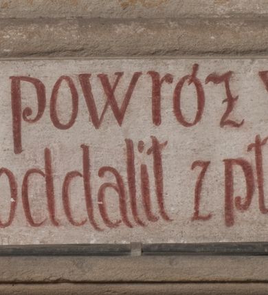 Zdjęcie nr 7: Obraz otrzymał kształt stojącego prostokąta zamkniętego łukiem pełnym. Na tle schematycznie przedstawionego pagórkowatego pejzażu ukazano w nieznacznym kontrapoście w całej postaci św. Karola Boromeusza. Święty został przedstawiony frontalnie z głową lekko pochyloną i zwróconą w trzech czwartych w lewo. Spogląda na drewniany krucyfiks, ułożony ukośnie i oparty o jego lewe ramię, który trzyma obiema dłońmi. Ma owalną twarz z charakterystycznym wydatnym nosem, wąskie usta oraz krótkie ciemnobrązowe włosy. Ubrany jest w strój kardynalski: purpurową sutannę, mucet i piuskę oraz białą komżę. Stopy ma bose. Na ramionach widoczny jest zarzucony powróz pokutny z węzłami, zakończony szeroką pętlą. Ponad obrazem na łuku archiwolty widnieje czerwony łaciński napis: „Iacite ergo fructus dignios Paenitentiae Luc[a]. Cap[ut]. 3 vers[us] 8”. Z kolei pod obrazem na dolnej krawędzi znajduje się napis polski: „Boso na szyi powróz w processyi nosi / i by Bóg karę oddalił z płaczem o to prosi”.   
