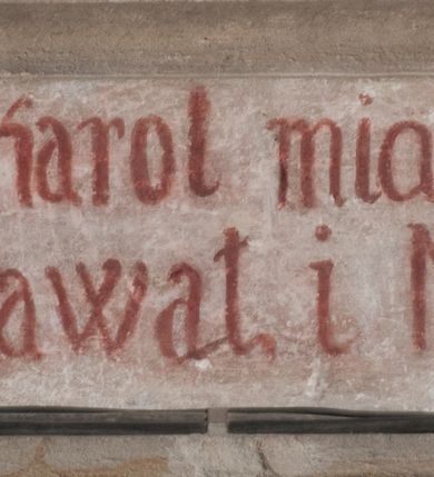 Zdjęcie nr 6: Obraz ma kształt stojacego prostokąta zamkniętego łukiem pełnym. Na tle szarożółtych obłoków ukazano w całej postaci św. Karola Boromeusza klęczącego przed siedzącą na obłokach Madonną z Dzieciątkiem. Święty został ukazany w trzech czwartych zwrócony w lewo ze złożonymi rękami do modlitwy. Przedstawiono go z uniesioną głową zwróconą w stronę Matki Boskiej. Jego twarz o różowo-szarawej karnacji charakteryzuje się wydatnym nosem i ustami oraz ciemnymi oczami. Na jego głowie widoczna jest tonsura, wycięta w ciemnobrązowych włosach. Święty ubrany jest w strój kardynalski, purpurową sutannę i mucet oraz w białą komżę zdobioną u spodu haftem. Ukazana z lewej strony Madonna z Dzieciątkiem zwrócona jest w trzech czwartych w prawo. Maria podtrzymuje małego Jezusa stojącego na jej lewym kolanie, który w jej stronę wyciąga obie rączki. Twarz Madonny ma nieznacznie zniekształcone rysy. Ma jasną karnację, prosty nos, wąskie, lekko uśmiechnięte usta i półprzymknięte oczy. Jej głowę otaczają blond włosy rozdzielone pośrodku przedziałkiem. Maria ubrana jest w bladoróżową suknię z długimi rękawami oraz ciemnoniebieski maforion spływający z głowy, okrywający jej ramiona oraz prawą nogę. Trzymane przez nią Dzieciątko jest nagie. Tylko nieznacznie lewą nóżkę zakrywa biała chusta, której koniec Madonna trzyma w lekko uniesionej lewej ręce. Mały Jezus jest zwrócony w trzech czwartych w prawo. Ma okrągłą twarz z małym szerokim nosem, ciemnymi oczami i lekko uśmiechniętymi ustami. Jego głowę okalają jasne włosy układające się w lekko skręcone pukle. Poniżej Madonny z Dzieciątkiem w rogu obrazu widoczne są dusze w ogniu czyścowym. Są to dwie postacie wyłaniające się w popiersiach z ognistych płomieni z głowami zwróconymi w stronę Maryi i Jezusa. Jedna z nich ma uniesioną w geście wołania o pomoc prawą rękę. Ponad obrazem na archiwolcie arkady widnieje czerwony łaciński napis: Misereremini mei. Misereremini mei. Joa[nnes]. Cap[ut]. 19. vers[us] 21. Z kolei na dolnej krawędzi arkady znajduje się czerwony napis polski: Nad umarłemi Karol miał politowanie. / Bo i skarby rozdawał i modlił się za nie.