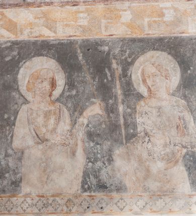 Zdjęcie nr 9: Zachowana dekoracja malarska znajduje się w tzw. starej zakrystii, określanej także jako oratorium królewskie. Dobudowano ją od północy do prezbiterium niepołomickiego kościoła. Jest to niewielka budowla na rzucie wydłużonego prostokąta, nakryta trójprzęsłowym krzyżowo-żebrowym sklepieniem, od wschodu zamknięta dwubocznie. Od zachodu w narożniku południowym widoczne jest załamanie muru, tworzącego dwie ściany wieżyczki schodowej. Do jej wnętrza prowadzi ostrołukowy portal. Oratorium oświetlają trzy ostrołukowe okna. Tylko czwarte, obecnie zamurowane, przeprute w murze północno-wschodnim pochodzi z czasów budowy kościoła. Stara zakrystia połączona jest z kościołem za pomocą ostrołukowego, profilowanego kamiennego portalu umieszczonego w środkowym przęśle ściany południowej. Na sklepieniu znajdują się rzeźbione zworniki z przedstawieniem w przęśle wschodnim głowy Chrystusa w nimbie krzyżowym, w środkowym maski liściastej, a w zachodnim motywów roślinnych. Podobnie rzeźbione motywy roślinne  pokrywają wsporniki, na które spływają żebra. 
Zachowana polichromia tworzy z architekturą starej zakrystii harmonijną całość. Białe wysklepki sklepień otoczone są wielobarwnymi, namalowanymi wzdłuż żeber, iluzjonistyczno-geometrycznymi pasami imitującymi kamienne inkrustacje w typie "arte cosmatesca". Pierwotnie polichromowane były także same żebra oraz rzeźbione zworniki i wsporniki. Pionowym rytmom barwnych pasów przeciwstawiają się na ścianie wschodniej, południowej i zachodniej dwa poziome, iluzjonistyczne malowane fryzy. Górny, w odcieniach brązów jest szerszy i przypomina gzyms. Przebiega w połowie wysokości ścian, na poziomie wsporników. Poniżej znajduje się drugi, o połowę węższy, skomponowany z wielobarwnych geometrycznych rozet w rombowych polach. Fryzy wyznaczają trzy strefy dekoracji. Dolny pas uległ zniszczeniu za wyjątkiem niewielkiego fragmentu iluzjonistycznie malowanej konsolki na ścianie południowej. Dla strefy środkowej głównej tło stanowi niebieska barwa. Niestety oba te pasy obecnie są mocno uszkodzone. 
Pierwotnie pas środkowy ścian zajmowały naturalnej wielkości postacie kobiece, ujęte powyżej kolan. Z namalowanych dwunastu świętych do naszych czasów przetrwało sześć - w całości cztery (na ścianie wschodniej, południowej i zachodniej) oraz jedna bez głowy (ściana południowa) i jedna w połowie (ściana zachodnia). Są to jasno lub ciemnowłose młode kobiety, trzymające palmy męczeństwa. Ubrane są w suknie z narzuconymi płaszczami w kolorach żółtym, oliwkowym, różowym, liliowym, brązowym i błękitnym. Jedna z nich, wyobrażona ponad wejściem na klatkę schodową w wieżyczce, jest ukazana jako kobieta w podeszłym wieku z okrytą głową i dłońmi uniesionymi na wysokość piersi w geście orantki. Głowy męczennic i orantki okalają plastycznie, tłoczone w zaprawie nimby zdobione promieniami. Na niektórych głowach dziewic zachowały się ślady namalowanych brązową farbą koron o niskich sterczynach w kształcie heraldycznych lilii. 
W ścianie północno-wschodniej dwubocznego zamknięcia znajduje się obecnie zamurowane lancetowate, ostrołukowe okno z fragmentami polichromii w glifie okiennym. Pierwotnie tworzyło ją dziesięć czterolistnych obramowań wpisanych w romby, umieszczonych jeden nad drugim. Przedstawiono w nich w półpostaci aniołów z głowami otoczonymi nimbami. W dolnej części okno do  poziomu gotyckich wsporników otacza iluzjonistycznie malowana dekoracja utworzona z motywów kamiennych płyt.  
W górnej strefie oratorium wyobrażono cykl hagiograficzny, składający się z sześciu scen namalowanych w ostrołukowych polach, wyznaczonych łukami tarczowymi sklepień i ujętych w obramienia z plastycznie malowanych zębów. Ograniczający je od dołu, iluzjonistycznie malowany, jakby wystający gzyms nadaje przedstawieniom teatralną głębie. 
Na ścianie południowo-wschodniej przedstawiono bliżej niezidentyfikowaną scenę męczeństwa. Na tle ochrowo-żółtej architektury ukazano z lewej strony na pierwszym planie grupę  rycerzy, z których dwóch widocznych jest w całej postaci w średniowiecznych zbrojach stylizowanych na rzymskie, w hełmach i z ostrołukowymi tarczami trzymanymi w lewych rękach. Ich odzież ma kolor błękitny, granatowy, czerwony, fioletowy, cynobrowy. Rycerze lekko unoszą głowy w stronę półpostaci wychylającej się z okna loggi w górnej części architektury. Był to zapewne władca, dziś jego postać zachowała się tylko fragmentarycznie. Postać z okna wskazuje palcem na centralnie ukazany kocioł zawieszony pod arkadą, stanowiącą część architektury tła. Widoczna w nim jest w półpostaci jasnowłosa kobieta w białej sukni na ramiączkach z modlitewnie złożonymi rękami na piersi. Jej głowę otacza nimb. Kocioł wisi na haku za półokrągły uchwyt, pod nim pali się ognisko. Z prawej strony kotła widoczna jest fragmentarycznie zachowana postać rycerza w zbroi, który oburącz długim kijem miesza w kotle. 
Na prawo od sceny męczeństwa na ścianie południowej namalowano scenę określaną jako "przed władcą". W centrum przedstawienia na tle architektury wyobrażono tron z zasiadającym na nim władcą. Jest to brodaty mężczyzna ukazany z profilu z koroną na głowie, który w prawej dłoni unosi berło skierowane w stronę przyprowadzonej do niego kobiety. Tron i architektoniczne jego obramienie malowane jest w kolorach brązu i ochry. Jego zaplecek dekoruje zawieszona pasiasta tkanina. Ciemnowłosy władca ubrany jest w turkusową szatę z narzuconym na ramiona brązowym płaszczem. Za tronem z lewej strony stoi paź o kędzierzawej fryzurze wsparty na trzymanym ostrzem w dół mieczu. Stojąca przed władcą kobieta ubrana jest w czerwoną długą suknię. Ma jasne włosy, a jej głowę okala nimb. Ręce ma skrzyżowane i związane na wysokości pasa. Obok niej stoi inna postać także w długiej szacie, z uniesioną prawą dłonią. Za świętą widoczne są inne postacie, niestety skala zniszczenia malowidła uniemożliwia ich opis i identyfikację. 
Trzecie malowidło, usytuowane nad wejściem do oratorium, ukazuje scenę dysputyt. W centrum przedstawienia pod architektonicznym zadaszeniem w formie portyku lub altany o kasetonowym stropie, wspartym na dwóch czworobocznych filarach, ukazano widoczne z profilu trzy siedzące  kobiety. Jedna z lewej strony a dwie naprzeciwko z prawej. Kobieta z lewej  ma odkryte jasne, długie włosy. Jej głowę otacza nimb. Na wysokość piersi unosi obie dłonie, sprawiając wrażenie, jakby w nich trzymała owalny przedmiot. Ubrana jest w ciemnoczerwoną długą suknię, zakrywającą nogi. Naprzeciw niej siedzą dwie inne niewiasty o długich, jasnych włosach w prostych koronach na głowach. Jedna z nich unosi swoją prawą rękę. Obie ubrane są w długie suknie w kolorze ochry. Za nimi pomiędzy filarami widoczna jest rozpięta zasłona w pionowe oliwkowe, zielone, białe i czerwone pasy. Na podłodze leży dywan dekorowany w żółte, zielone, niebieskie i czerwone pasy. 
Mocno zniszczone w dolnej części czwarte przedstawienie ilustruje scenę chłosty. Z lewej strony kompozycji wyobrażono budowlę z architektoniczną loggią, z której w półpostaci wychyla się władca. W prawej ręce poziomo trzyma berło skierowane w stronę grupy osób, za którymi wykonywana jest kara chłosty. Władca, podobnie jak w drugiej scenie, został ukazany jako mężczyzna o ciemnym zaroście i takich samych włosach. Na głowie ma koronę. Ubrany jest w brązowe szaty o różnych odcieniach. Centralnie przedstawioną stłoczoną grupę tworzy czterech żołnierzy oraz starszy mężczyzna w zawoju na głowie z siwą, długą brodą. Żołnierze mają zbroje i hełmy. Jeden z nich, najbliżej stojący z lewej przedstawiony został w profilu z głową i prawą ręką skierowaną w stronę króla. Także w stronę władcy zwrócony jest mężczyzna w zawoju na głowie z dwiema dłońmi uniesionymi na wysokość piersi. Z prawej strony kompozycji namalowano, dziś fragmentarycznie zachowany, rodzaj drewnianej szubienicy, utworzonej z poprzecznie zawieszonego na drewnianych podporach drążka. Nad dróżką do góry nogami wisi postać (dziś zniszczona), z której zachowały się jedynie stopy związane w kostkach sznurem. W jej stronę zwraca się jeden z żołnierzy ze środkowej grupy. Po prawej stronie szubienicy widoczna jest część postaci oprawcy, z której zachował się tylko fragment głowy oraz uniesiona lewa ręka z drewnianą pałką. 
Dwie ostatnie sceny umieszczono na zachodnim murze oratorium. Pierwsza z nich przedstawia strącenie bożka i została połączona z drugą ukazującą uwolnienia z więzienia. Część centralną kompozycji stanowi potrzaskana, wywracająca się kolumna, z której spada szatan w postaci żywego demona pokrytego sierścią. Strącił go widoczny w półpostaci w górnej części malowidła anioł trzymający w prawej ręce miecz. Z lewej strony kompozycji  klęczy na skalistej ziemi święta ubrana w długą ciemnoczerwoną suknię. Niestety nie zachowała się górna część jej postaci. Za nią stoi stłoczona grupa przerażonych świadków tego wydarzenia. Natomiast z prawej strony malowidła wyobrażono scenę uwolnienia z więzienia. Jej zasadniczym elementem jest architektoniczna struktura nawiązująca kształtem do wieży mieszkalnej, więzienia bądź bramy miejskiej. Święta ze związanymi rękami w ciemnoczerwonej sukni wychodzi z niej z prawej strony. W centrum budowli widoczne jest półokrągłe okno, a w nim zapewne jej popiersie o długich jasnych włosach, trzymające w dłoniach jakiś przedmiot. Wszystkie sceny cyklu w jedną całość wiąże gładkie niebieskie tło. Niezachowana kompozycja polichromii na ścianie północnej musiała odbiegać swym układem od pozostałych ścian. Płaszczyzna ścian została podzielona za pomocą węższego dolnego fryzu na dwie strefy. Górną część najprawdopodobniej zajmowały duże postacie stojące (fragment jednej z nich zachował się w sąsiedztwie okna w ścianie północno-wschodniej). Pod fryzem w części dolnej najprawdopodobniej była namalowana iluzjonistycznie wisząca kotara.   
    




