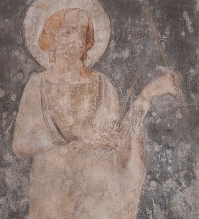 Zdjęcie nr 8: Zachowana dekoracja malarska znajduje się w tzw. starej zakrystii, określanej także jako oratorium królewskie. Dobudowano ją od północy do prezbiterium niepołomickiego kościoła. Jest to niewielka budowla na rzucie wydłużonego prostokąta, nakryta trójprzęsłowym krzyżowo-żebrowym sklepieniem, od wschodu zamknięta dwubocznie. Od zachodu w narożniku południowym widoczne jest załamanie muru, tworzącego dwie ściany wieżyczki schodowej. Do jej wnętrza prowadzi ostrołukowy portal. Oratorium oświetlają trzy ostrołukowe okna. Tylko czwarte, obecnie zamurowane, przeprute w murze północno-wschodnim pochodzi z czasów budowy kościoła. Stara zakrystia połączona jest z kościołem za pomocą ostrołukowego, profilowanego kamiennego portalu umieszczonego w środkowym przęśle ściany południowej. Na sklepieniu znajdują się rzeźbione zworniki z przedstawieniem w przęśle wschodnim głowy Chrystusa w nimbie krzyżowym, w środkowym maski liściastej, a w zachodnim motywów roślinnych. Podobnie rzeźbione motywy roślinne  pokrywają wsporniki, na które spływają żebra. 
Zachowana polichromia tworzy z architekturą starej zakrystii harmonijną całość. Białe wysklepki sklepień otoczone są wielobarwnymi, namalowanymi wzdłuż żeber, iluzjonistyczno-geometrycznymi pasami imitującymi kamienne inkrustacje w typie "arte cosmatesca". Pierwotnie polichromowane były także same żebra oraz rzeźbione zworniki i wsporniki. Pionowym rytmom barwnych pasów przeciwstawiają się na ścianie wschodniej, południowej i zachodniej dwa poziome, iluzjonistyczne malowane fryzy. Górny, w odcieniach brązów jest szerszy i przypomina gzyms. Przebiega w połowie wysokości ścian, na poziomie wsporników. Poniżej znajduje się drugi, o połowę węższy, skomponowany z wielobarwnych geometrycznych rozet w rombowych polach. Fryzy wyznaczają trzy strefy dekoracji. Dolny pas uległ zniszczeniu za wyjątkiem niewielkiego fragmentu iluzjonistycznie malowanej konsolki na ścianie południowej. Dla strefy środkowej głównej tło stanowi niebieska barwa. Niestety oba te pasy obecnie są mocno uszkodzone. 
Pierwotnie pas środkowy ścian zajmowały naturalnej wielkości postacie kobiece, ujęte powyżej kolan. Z namalowanych dwunastu świętych do naszych czasów przetrwało sześć - w całości cztery (na ścianie wschodniej, południowej i zachodniej) oraz jedna bez głowy (ściana południowa) i jedna w połowie (ściana zachodnia). Są to jasno lub ciemnowłose młode kobiety, trzymające palmy męczeństwa. Ubrane są w suknie z narzuconymi płaszczami w kolorach żółtym, oliwkowym, różowym, liliowym, brązowym i błękitnym. Jedna z nich, wyobrażona ponad wejściem na klatkę schodową w wieżyczce, jest ukazana jako kobieta w podeszłym wieku z okrytą głową i dłońmi uniesionymi na wysokość piersi w geście orantki. Głowy męczennic i orantki okalają plastycznie, tłoczone w zaprawie nimby zdobione promieniami. Na niektórych głowach dziewic zachowały się ślady namalowanych brązową farbą koron o niskich sterczynach w kształcie heraldycznych lilii. 
W ścianie północno-wschodniej dwubocznego zamknięcia znajduje się obecnie zamurowane lancetowate, ostrołukowe okno z fragmentami polichromii w glifie okiennym. Pierwotnie tworzyło ją dziesięć czterolistnych obramowań wpisanych w romby, umieszczonych jeden nad drugim. Przedstawiono w nich w półpostaci aniołów z głowami otoczonymi nimbami. W dolnej części okno do  poziomu gotyckich wsporników otacza iluzjonistycznie malowana dekoracja utworzona z motywów kamiennych płyt.  
W górnej strefie oratorium wyobrażono cykl hagiograficzny, składający się z sześciu scen namalowanych w ostrołukowych polach, wyznaczonych łukami tarczowymi sklepień i ujętych w obramienia z plastycznie malowanych zębów. Ograniczający je od dołu, iluzjonistycznie malowany, jakby wystający gzyms nadaje przedstawieniom teatralną głębie. 
Na ścianie południowo-wschodniej przedstawiono bliżej niezidentyfikowaną scenę męczeństwa. Na tle ochrowo-żółtej architektury ukazano z lewej strony na pierwszym planie grupę  rycerzy, z których dwóch widocznych jest w całej postaci w średniowiecznych zbrojach stylizowanych na rzymskie, w hełmach i z ostrołukowymi tarczami trzymanymi w lewych rękach. Ich odzież ma kolor błękitny, granatowy, czerwony, fioletowy, cynobrowy. Rycerze lekko unoszą głowy w stronę półpostaci wychylającej się z okna loggi w górnej części architektury. Był to zapewne władca, dziś jego postać zachowała się tylko fragmentarycznie. Postać z okna wskazuje palcem na centralnie ukazany kocioł zawieszony pod arkadą, stanowiącą część architektury tła. Widoczna w nim jest w półpostaci jasnowłosa kobieta w białej sukni na ramiączkach z modlitewnie złożonymi rękami na piersi. Jej głowę otacza nimb. Kocioł wisi na haku za półokrągły uchwyt, pod nim pali się ognisko. Z prawej strony kotła widoczna jest fragmentarycznie zachowana postać rycerza w zbroi, który oburącz długim kijem miesza w kotle. 
Na prawo od sceny męczeństwa na ścianie południowej namalowano scenę określaną jako "przed władcą". W centrum przedstawienia na tle architektury wyobrażono tron z zasiadającym na nim władcą. Jest to brodaty mężczyzna ukazany z profilu z koroną na głowie, który w prawej dłoni unosi berło skierowane w stronę przyprowadzonej do niego kobiety. Tron i architektoniczne jego obramienie malowane jest w kolorach brązu i ochry. Jego zaplecek dekoruje zawieszona pasiasta tkanina. Ciemnowłosy władca ubrany jest w turkusową szatę z narzuconym na ramiona brązowym płaszczem. Za tronem z lewej strony stoi paź o kędzierzawej fryzurze wsparty na trzymanym ostrzem w dół mieczu. Stojąca przed władcą kobieta ubrana jest w czerwoną długą suknię. Ma jasne włosy, a jej głowę okala nimb. Ręce ma skrzyżowane i związane na wysokości pasa. Obok niej stoi inna postać także w długiej szacie, z uniesioną prawą dłonią. Za świętą widoczne są inne postacie, niestety skala zniszczenia malowidła uniemożliwia ich opis i identyfikację. 
Trzecie malowidło, usytuowane nad wejściem do oratorium, ukazuje scenę dysputyt. W centrum przedstawienia pod architektonicznym zadaszeniem w formie portyku lub altany o kasetonowym stropie, wspartym na dwóch czworobocznych filarach, ukazano widoczne z profilu trzy siedzące  kobiety. Jedna z lewej strony a dwie naprzeciwko z prawej. Kobieta z lewej  ma odkryte jasne, długie włosy. Jej głowę otacza nimb. Na wysokość piersi unosi obie dłonie, sprawiając wrażenie, jakby w nich trzymała owalny przedmiot. Ubrana jest w ciemnoczerwoną długą suknię, zakrywającą nogi. Naprzeciw niej siedzą dwie inne niewiasty o długich, jasnych włosach w prostych koronach na głowach. Jedna z nich unosi swoją prawą rękę. Obie ubrane są w długie suknie w kolorze ochry. Za nimi pomiędzy filarami widoczna jest rozpięta zasłona w pionowe oliwkowe, zielone, białe i czerwone pasy. Na podłodze leży dywan dekorowany w żółte, zielone, niebieskie i czerwone pasy. 
Mocno zniszczone w dolnej części czwarte przedstawienie ilustruje scenę chłosty. Z lewej strony kompozycji wyobrażono budowlę z architektoniczną loggią, z której w półpostaci wychyla się władca. W prawej ręce poziomo trzyma berło skierowane w stronę grupy osób, za którymi wykonywana jest kara chłosty. Władca, podobnie jak w drugiej scenie, został ukazany jako mężczyzna o ciemnym zaroście i takich samych włosach. Na głowie ma koronę. Ubrany jest w brązowe szaty o różnych odcieniach. Centralnie przedstawioną stłoczoną grupę tworzy czterech żołnierzy oraz starszy mężczyzna w zawoju na głowie z siwą, długą brodą. Żołnierze mają zbroje i hełmy. Jeden z nich, najbliżej stojący z lewej przedstawiony został w profilu z głową i prawą ręką skierowaną w stronę króla. Także w stronę władcy zwrócony jest mężczyzna w zawoju na głowie z dwiema dłońmi uniesionymi na wysokość piersi. Z prawej strony kompozycji namalowano, dziś fragmentarycznie zachowany, rodzaj drewnianej szubienicy, utworzonej z poprzecznie zawieszonego na drewnianych podporach drążka. Nad dróżką do góry nogami wisi postać (dziś zniszczona), z której zachowały się jedynie stopy związane w kostkach sznurem. W jej stronę zwraca się jeden z żołnierzy ze środkowej grupy. Po prawej stronie szubienicy widoczna jest część postaci oprawcy, z której zachował się tylko fragment głowy oraz uniesiona lewa ręka z drewnianą pałką. 
Dwie ostatnie sceny umieszczono na zachodnim murze oratorium. Pierwsza z nich przedstawia strącenie bożka i została połączona z drugą ukazującą uwolnienia z więzienia. Część centralną kompozycji stanowi potrzaskana, wywracająca się kolumna, z której spada szatan w postaci żywego demona pokrytego sierścią. Strącił go widoczny w półpostaci w górnej części malowidła anioł trzymający w prawej ręce miecz. Z lewej strony kompozycji  klęczy na skalistej ziemi święta ubrana w długą ciemnoczerwoną suknię. Niestety nie zachowała się górna część jej postaci. Za nią stoi stłoczona grupa przerażonych świadków tego wydarzenia. Natomiast z prawej strony malowidła wyobrażono scenę uwolnienia z więzienia. Jej zasadniczym elementem jest architektoniczna struktura nawiązująca kształtem do wieży mieszkalnej, więzienia bądź bramy miejskiej. Święta ze związanymi rękami w ciemnoczerwonej sukni wychodzi z niej z prawej strony. W centrum budowli widoczne jest półokrągłe okno, a w nim zapewne jej popiersie o długich jasnych włosach, trzymające w dłoniach jakiś przedmiot. Wszystkie sceny cyklu w jedną całość wiąże gładkie niebieskie tło. Niezachowana kompozycja polichromii na ścianie północnej musiała odbiegać swym układem od pozostałych ścian. Płaszczyzna ścian została podzielona za pomocą węższego dolnego fryzu na dwie strefy. Górną część najprawdopodobniej zajmowały duże postacie stojące (fragment jednej z nich zachował się w sąsiedztwie okna w ścianie północno-wschodniej). Pod fryzem w części dolnej najprawdopodobniej była namalowana iluzjonistycznie wisząca kotara.   
    




