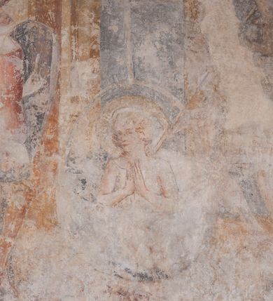 Zdjęcie nr 10: Zachowana dekoracja malarska znajduje się w tzw. starej zakrystii, określanej także jako oratorium królewskie. Dobudowano ją od północy do prezbiterium niepołomickiego kościoła. Jest to niewielka budowla na rzucie wydłużonego prostokąta, nakryta trójprzęsłowym krzyżowo-żebrowym sklepieniem, od wschodu zamknięta dwubocznie. Od zachodu w narożniku południowym widoczne jest załamanie muru, tworzącego dwie ściany wieżyczki schodowej. Do jej wnętrza prowadzi ostrołukowy portal. Oratorium oświetlają trzy ostrołukowe okna. Tylko czwarte, obecnie zamurowane, przeprute w murze północno-wschodnim pochodzi z czasów budowy kościoła. Stara zakrystia połączona jest z kościołem za pomocą ostrołukowego, profilowanego kamiennego portalu umieszczonego w środkowym przęśle ściany południowej. Na sklepieniu znajdują się rzeźbione zworniki z przedstawieniem w przęśle wschodnim głowy Chrystusa w nimbie krzyżowym, w środkowym maski liściastej, a w zachodnim motywów roślinnych. Podobnie rzeźbione motywy roślinne  pokrywają wsporniki, na które spływają żebra. 
Zachowana polichromia tworzy z architekturą starej zakrystii harmonijną całość. Białe wysklepki sklepień otoczone są wielobarwnymi, namalowanymi wzdłuż żeber, iluzjonistyczno-geometrycznymi pasami imitującymi kamienne inkrustacje w typie "arte cosmatesca". Pierwotnie polichromowane były także same żebra oraz rzeźbione zworniki i wsporniki. Pionowym rytmom barwnych pasów przeciwstawiają się na ścianie wschodniej, południowej i zachodniej dwa poziome, iluzjonistyczne malowane fryzy. Górny, w odcieniach brązów jest szerszy i przypomina gzyms. Przebiega w połowie wysokości ścian, na poziomie wsporników. Poniżej znajduje się drugi, o połowę węższy, skomponowany z wielobarwnych geometrycznych rozet w rombowych polach. Fryzy wyznaczają trzy strefy dekoracji. Dolny pas uległ zniszczeniu za wyjątkiem niewielkiego fragmentu iluzjonistycznie malowanej konsolki na ścianie południowej. Dla strefy środkowej głównej tło stanowi niebieska barwa. Niestety oba te pasy obecnie są mocno uszkodzone. 
Pierwotnie pas środkowy ścian zajmowały naturalnej wielkości postacie kobiece, ujęte powyżej kolan. Z namalowanych dwunastu świętych do naszych czasów przetrwało sześć - w całości cztery (na ścianie wschodniej, południowej i zachodniej) oraz jedna bez głowy (ściana południowa) i jedna w połowie (ściana zachodnia). Są to jasno lub ciemnowłose młode kobiety, trzymające palmy męczeństwa. Ubrane są w suknie z narzuconymi płaszczami w kolorach żółtym, oliwkowym, różowym, liliowym, brązowym i błękitnym. Jedna z nich, wyobrażona ponad wejściem na klatkę schodową w wieżyczce, jest ukazana jako kobieta w podeszłym wieku z okrytą głową i dłońmi uniesionymi na wysokość piersi w geście orantki. Głowy męczennic i orantki okalają plastycznie, tłoczone w zaprawie nimby zdobione promieniami. Na niektórych głowach dziewic zachowały się ślady namalowanych brązową farbą koron o niskich sterczynach w kształcie heraldycznych lilii. 
W ścianie północno-wschodniej dwubocznego zamknięcia znajduje się obecnie zamurowane lancetowate, ostrołukowe okno z fragmentami polichromii w glifie okiennym. Pierwotnie tworzyło ją dziesięć czterolistnych obramowań wpisanych w romby, umieszczonych jeden nad drugim. Przedstawiono w nich w półpostaci aniołów z głowami otoczonymi nimbami. W dolnej części okno do  poziomu gotyckich wsporników otacza iluzjonistycznie malowana dekoracja utworzona z motywów kamiennych płyt.  
W górnej strefie oratorium wyobrażono cykl hagiograficzny, składający się z sześciu scen namalowanych w ostrołukowych polach, wyznaczonych łukami tarczowymi sklepień i ujętych w obramienia z plastycznie malowanych zębów. Ograniczający je od dołu, iluzjonistycznie malowany, jakby wystający gzyms nadaje przedstawieniom teatralną głębie. 
Na ścianie południowo-wschodniej przedstawiono bliżej niezidentyfikowaną scenę męczeństwa. Na tle ochrowo-żółtej architektury ukazano z lewej strony na pierwszym planie grupę  rycerzy, z których dwóch widocznych jest w całej postaci w średniowiecznych zbrojach stylizowanych na rzymskie, w hełmach i z ostrołukowymi tarczami trzymanymi w lewych rękach. Ich odzież ma kolor błękitny, granatowy, czerwony, fioletowy, cynobrowy. Rycerze lekko unoszą głowy w stronę półpostaci wychylającej się z okna loggi w górnej części architektury. Był to zapewne władca, dziś jego postać zachowała się tylko fragmentarycznie. Postać z okna wskazuje palcem na centralnie ukazany kocioł zawieszony pod arkadą, stanowiącą część architektury tła. Widoczna w nim jest w półpostaci jasnowłosa kobieta w białej sukni na ramiączkach z modlitewnie złożonymi rękami na piersi. Jej głowę otacza nimb. Kocioł wisi na haku za półokrągły uchwyt, pod nim pali się ognisko. Z prawej strony kotła widoczna jest fragmentarycznie zachowana postać rycerza w zbroi, który oburącz długim kijem miesza w kotle. 
Na prawo od sceny męczeństwa na ścianie południowej namalowano scenę określaną jako "przed władcą". W centrum przedstawienia na tle architektury wyobrażono tron z zasiadającym na nim władcą. Jest to brodaty mężczyzna ukazany z profilu z koroną na głowie, który w prawej dłoni unosi berło skierowane w stronę przyprowadzonej do niego kobiety. Tron i architektoniczne jego obramienie malowane jest w kolorach brązu i ochry. Jego zaplecek dekoruje zawieszona pasiasta tkanina. Ciemnowłosy władca ubrany jest w turkusową szatę z narzuconym na ramiona brązowym płaszczem. Za tronem z lewej strony stoi paź o kędzierzawej fryzurze wsparty na trzymanym ostrzem w dół mieczu. Stojąca przed władcą kobieta ubrana jest w czerwoną długą suknię. Ma jasne włosy, a jej głowę okala nimb. Ręce ma skrzyżowane i związane na wysokości pasa. Obok niej stoi inna postać także w długiej szacie, z uniesioną prawą dłonią. Za świętą widoczne są inne postacie, niestety skala zniszczenia malowidła uniemożliwia ich opis i identyfikację. 
Trzecie malowidło, usytuowane nad wejściem do oratorium, ukazuje scenę dysputyt. W centrum przedstawienia pod architektonicznym zadaszeniem w formie portyku lub altany o kasetonowym stropie, wspartym na dwóch czworobocznych filarach, ukazano widoczne z profilu trzy siedzące  kobiety. Jedna z lewej strony a dwie naprzeciwko z prawej. Kobieta z lewej  ma odkryte jasne, długie włosy. Jej głowę otacza nimb. Na wysokość piersi unosi obie dłonie, sprawiając wrażenie, jakby w nich trzymała owalny przedmiot. Ubrana jest w ciemnoczerwoną długą suknię, zakrywającą nogi. Naprzeciw niej siedzą dwie inne niewiasty o długich, jasnych włosach w prostych koronach na głowach. Jedna z nich unosi swoją prawą rękę. Obie ubrane są w długie suknie w kolorze ochry. Za nimi pomiędzy filarami widoczna jest rozpięta zasłona w pionowe oliwkowe, zielone, białe i czerwone pasy. Na podłodze leży dywan dekorowany w żółte, zielone, niebieskie i czerwone pasy. 
Mocno zniszczone w dolnej części czwarte przedstawienie ilustruje scenę chłosty. Z lewej strony kompozycji wyobrażono budowlę z architektoniczną loggią, z której w półpostaci wychyla się władca. W prawej ręce poziomo trzyma berło skierowane w stronę grupy osób, za którymi wykonywana jest kara chłosty. Władca, podobnie jak w drugiej scenie, został ukazany jako mężczyzna o ciemnym zaroście i takich samych włosach. Na głowie ma koronę. Ubrany jest w brązowe szaty o różnych odcieniach. Centralnie przedstawioną stłoczoną grupę tworzy czterech żołnierzy oraz starszy mężczyzna w zawoju na głowie z siwą, długą brodą. Żołnierze mają zbroje i hełmy. Jeden z nich, najbliżej stojący z lewej przedstawiony został w profilu z głową i prawą ręką skierowaną w stronę króla. Także w stronę władcy zwrócony jest mężczyzna w zawoju na głowie z dwiema dłońmi uniesionymi na wysokość piersi. Z prawej strony kompozycji namalowano, dziś fragmentarycznie zachowany, rodzaj drewnianej szubienicy, utworzonej z poprzecznie zawieszonego na drewnianych podporach drążka. Nad dróżką do góry nogami wisi postać (dziś zniszczona), z której zachowały się jedynie stopy związane w kostkach sznurem. W jej stronę zwraca się jeden z żołnierzy ze środkowej grupy. Po prawej stronie szubienicy widoczna jest część postaci oprawcy, z której zachował się tylko fragment głowy oraz uniesiona lewa ręka z drewnianą pałką. 
Dwie ostatnie sceny umieszczono na zachodnim murze oratorium. Pierwsza z nich przedstawia strącenie bożka i została połączona z drugą ukazującą uwolnienia z więzienia. Część centralną kompozycji stanowi potrzaskana, wywracająca się kolumna, z której spada szatan w postaci żywego demona pokrytego sierścią. Strącił go widoczny w półpostaci w górnej części malowidła anioł trzymający w prawej ręce miecz. Z lewej strony kompozycji  klęczy na skalistej ziemi święta ubrana w długą ciemnoczerwoną suknię. Niestety nie zachowała się górna część jej postaci. Za nią stoi stłoczona grupa przerażonych świadków tego wydarzenia. Natomiast z prawej strony malowidła wyobrażono scenę uwolnienia z więzienia. Jej zasadniczym elementem jest architektoniczna struktura nawiązująca kształtem do wieży mieszkalnej, więzienia bądź bramy miejskiej. Święta ze związanymi rękami w ciemnoczerwonej sukni wychodzi z niej z prawej strony. W centrum budowli widoczne jest półokrągłe okno, a w nim zapewne jej popiersie o długich jasnych włosach, trzymające w dłoniach jakiś przedmiot. Wszystkie sceny cyklu w jedną całość wiąże gładkie niebieskie tło. Niezachowana kompozycja polichromii na ścianie północnej musiała odbiegać swym układem od pozostałych ścian. Płaszczyzna ścian została podzielona za pomocą węższego dolnego fryzu na dwie strefy. Górną część najprawdopodobniej zajmowały duże postacie stojące (fragment jednej z nich zachował się w sąsiedztwie okna w ścianie północno-wschodniej). Pod fryzem w części dolnej najprawdopodobniej była namalowana iluzjonistycznie wisząca kotara.   
    




