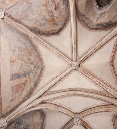 Zdjęcie nr 22: Zachowana dekoracja malarska znajduje się w tzw. starej zakrystii, określanej także jako oratorium królewskie. Dobudowano ją od północy do prezbiterium niepołomickiego kościoła. Jest to niewielka budowla na rzucie wydłużonego prostokąta, nakryta trójprzęsłowym krzyżowo-żebrowym sklepieniem, od wschodu zamknięta dwubocznie. Od zachodu w narożniku południowym widoczne jest załamanie muru, tworzącego dwie ściany wieżyczki schodowej. Do jej wnętrza prowadzi ostrołukowy portal. Oratorium oświetlają trzy ostrołukowe okna. Tylko czwarte, obecnie zamurowane, przeprute w murze północno-wschodnim pochodzi z czasów budowy kościoła. Stara zakrystia połączona jest z kościołem za pomocą ostrołukowego, profilowanego kamiennego portalu umieszczonego w środkowym przęśle ściany południowej. Na sklepieniu znajdują się rzeźbione zworniki z przedstawieniem w przęśle wschodnim głowy Chrystusa w nimbie krzyżowym, w środkowym maski liściastej, a w zachodnim motywów roślinnych. Podobnie rzeźbione motywy roślinne  pokrywają wsporniki, na które spływają żebra. 
Zachowana polichromia tworzy z architekturą starej zakrystii harmonijną całość. Białe wysklepki sklepień otoczone są wielobarwnymi, namalowanymi wzdłuż żeber, iluzjonistyczno-geometrycznymi pasami imitującymi kamienne inkrustacje w typie &quot;arte cosmatesca&quot;. Pierwotnie polichromowane były także same żebra oraz rzeźbione zworniki i wsporniki. Pionowym rytmom barwnych pasów przeciwstawiają się na ścianie wschodniej, południowej i zachodniej dwa poziome, iluzjonistyczne malowane fryzy. Górny, w odcieniach brązów jest szerszy i przypomina gzyms. Przebiega w połowie wysokości ścian, na poziomie wsporników. Poniżej znajduje się drugi, o połowę węższy, skomponowany z wielobarwnych geometrycznych rozet w rombowych polach. Fryzy wyznaczają trzy strefy dekoracji. Dolny pas uległ zniszczeniu za wyjątkiem niewielkiego fragmentu iluzjonistycznie malowanej konsolki na ścianie południowej. Dla strefy środkowej głównej tło stanowi niebieska barwa. Niestety oba te pasy obecnie są mocno uszkodzone. 
Pierwotnie pas środkowy ścian zajmowały naturalnej wielkości postacie kobiece, ujęte powyżej kolan. Z namalowanych dwunastu świętych do naszych czasów przetrwało sześć - w całości cztery (na ścianie wschodniej, południowej i zachodniej) oraz jedna bez głowy (ściana południowa) i jedna w połowie (ściana zachodnia). Są to jasno lub ciemnowłose młode kobiety, trzymające palmy męczeństwa. Ubrane są w suknie z narzuconymi płaszczami w kolorach żółtym, oliwkowym, różowym, liliowym, brązowym i błękitnym. Jedna z nich, wyobrażona ponad wejściem na klatkę schodową w wieżyczce, jest ukazana jako kobieta w podeszłym wieku z okrytą głową i dłońmi uniesionymi na wysokość piersi w geście orantki. Głowy męczennic i orantki okalają plastycznie, tłoczone w zaprawie nimby zdobione promieniami. Na niektórych głowach dziewic zachowały się ślady namalowanych brązową farbą koron o niskich sterczynach w kształcie heraldycznych lilii. 
W ścianie północno-wschodniej dwubocznego zamknięcia znajduje się obecnie zamurowane lancetowate, ostrołukowe okno z fragmentami polichromii w glifie okiennym. Pierwotnie tworzyło ją dziesięć czterolistnych obramowań wpisanych w romby, umieszczonych jeden nad drugim. Przedstawiono w nich w półpostaci aniołów z głowami otoczonymi nimbami. W dolnej części okno do  poziomu gotyckich wsporników otacza iluzjonistycznie malowana dekoracja utworzona z motywów kamiennych płyt.  
W górnej strefie oratorium wyobrażono cykl hagiograficzny, składający się z sześciu scen namalowanych w ostrołukowych polach, wyznaczonych łukami tarczowymi sklepień i ujętych w obramienia z plastycznie malowanych zębów. Ograniczający je od dołu, iluzjonistycznie malowany, jakby wystający gzyms nadaje przedstawieniom teatralną głębie. 
Na ścianie południowo-wschodniej przedstawiono bliżej niezidentyfikowaną scenę męczeństwa. Na tle ochrowo-żółtej architektury ukazano z lewej strony na pierwszym planie grupę  rycerzy, z których dwóch widocznych jest w całej postaci w średniowiecznych zbrojach stylizowanych na rzymskie, w hełmach i z ostrołukowymi tarczami trzymanymi w lewych rękach. Ich odzież ma kolor błękitny, granatowy, czerwony, fioletowy, cynobrowy. Rycerze lekko unoszą głowy w stronę półpostaci wychylającej się z okna loggi w górnej części architektury. Był to zapewne władca, dziś jego postać zachowała się tylko fragmentarycznie. Postać z okna wskazuje palcem na centralnie ukazany kocioł zawieszony pod arkadą, stanowiącą część architektury tła. Widoczna w nim jest w półpostaci jasnowłosa kobieta w białej sukni na ramiączkach z modlitewnie złożonymi rękami na piersi. Jej głowę otacza nimb. Kocioł wisi na haku za półokrągły uchwyt, pod nim pali się ognisko. Z prawej strony kotła widoczna jest fragmentarycznie zachowana postać rycerza w zbroi, który oburącz długim kijem miesza w kotle. 
Na prawo od sceny męczeństwa na ścianie południowej namalowano scenę określaną jako &quot;przed władcą&quot;. W centrum przedstawienia na tle architektury wyobrażono tron z zasiadającym na nim władcą. Jest to brodaty mężczyzna ukazany z profilu z koroną na głowie, który w prawej dłoni unosi berło skierowane w stronę przyprowadzonej do niego kobiety. Tron i architektoniczne jego obramienie malowane jest w kolorach brązu i ochry. Jego zaplecek dekoruje zawieszona pasiasta tkanina. Ciemnowłosy władca ubrany jest w turkusową szatę z narzuconym na ramiona brązowym płaszczem. Za tronem z lewej strony stoi paź o kędzierzawej fryzurze wsparty na trzymanym ostrzem w dół mieczu. Stojąca przed władcą kobieta ubrana jest w czerwoną długą suknię. Ma jasne włosy, a jej głowę okala nimb. Ręce ma skrzyżowane i związane na wysokości pasa. Obok niej stoi inna postać także w długiej szacie, z uniesioną prawą dłonią. Za świętą widoczne są inne postacie, niestety skala zniszczenia malowidła uniemożliwia ich opis i identyfikację. 
Trzecie malowidło, usytuowane nad wejściem do oratorium, ukazuje scenę dysputyt. W centrum przedstawienia pod architektonicznym zadaszeniem w formie portyku lub altany o kasetonowym stropie, wspartym na dwóch czworobocznych filarach, ukazano widoczne z profilu trzy siedzące  kobiety. Jedna z lewej strony a dwie naprzeciwko z prawej. Kobieta z lewej  ma odkryte jasne, długie włosy. Jej głowę otacza nimb. Na wysokość piersi unosi obie dłonie, sprawiając wrażenie, jakby w nich trzymała owalny przedmiot. Ubrana jest w ciemnoczerwoną długą suknię, zakrywającą nogi. Naprzeciw niej siedzą dwie inne niewiasty o długich, jasnych włosach w prostych koronach na głowach. Jedna z nich unosi swoją prawą rękę. Obie ubrane są w długie suknie w kolorze ochry. Za nimi pomiędzy filarami widoczna jest rozpięta zasłona w pionowe oliwkowe, zielone, białe i czerwone pasy. Na podłodze leży dywan dekorowany w żółte, zielone, niebieskie i czerwone pasy. 
Mocno zniszczone w dolnej części czwarte przedstawienie ilustruje scenę chłosty. Z lewej strony kompozycji wyobrażono budowlę z architektoniczną loggią, z której w półpostaci wychyla się władca. W prawej ręce poziomo trzyma berło skierowane w stronę grupy osób, za którymi wykonywana jest kara chłosty. Władca, podobnie jak w drugiej scenie, został ukazany jako mężczyzna o ciemnym zaroście i takich samych włosach. Na głowie ma koronę. Ubrany jest w brązowe szaty o różnych odcieniach. Centralnie przedstawioną stłoczoną grupę tworzy czterech żołnierzy oraz starszy mężczyzna w zawoju na głowie z siwą, długą brodą. Żołnierze mają zbroje i hełmy. Jeden z nich, najbliżej stojący z lewej przedstawiony został w profilu z głową i prawą ręką skierowaną w stronę króla. Także w stronę władcy zwrócony jest mężczyzna w zawoju na głowie z dwiema dłońmi uniesionymi na wysokość piersi. Z prawej strony kompozycji namalowano, dziś fragmentarycznie zachowany, rodzaj drewnianej szubienicy, utworzonej z poprzecznie zawieszonego na drewnianych podporach drążka. Nad dróżką do góry nogami wisi postać (dziś zniszczona), z której zachowały się jedynie stopy związane w kostkach sznurem. W jej stronę zwraca się jeden z żołnierzy ze środkowej grupy. Po prawej stronie szubienicy widoczna jest część postaci oprawcy, z której zachował się tylko fragment głowy oraz uniesiona lewa ręka z drewnianą pałką. 
Dwie ostatnie sceny umieszczono na zachodnim murze oratorium. Pierwsza z nich przedstawia strącenie bożka i została połączona z drugą ukazującą uwolnienia z więzienia. Część centralną kompozycji stanowi potrzaskana, wywracająca się kolumna, z której spada szatan w postaci żywego demona pokrytego sierścią. Strącił go widoczny w półpostaci w górnej części malowidła anioł trzymający w prawej ręce miecz. Z lewej strony kompozycji  klęczy na skalistej ziemi święta ubrana w długą ciemnoczerwoną suknię. Niestety nie zachowała się górna część jej postaci. Za nią stoi stłoczona grupa przerażonych świadków tego wydarzenia. Natomiast z prawej strony malowidła wyobrażono scenę uwolnienia z więzienia. Jej zasadniczym elementem jest architektoniczna struktura nawiązująca kształtem do wieży mieszkalnej, więzienia bądź bramy miejskiej. Święta ze związanymi rękami w ciemnoczerwonej sukni wychodzi z niej z prawej strony. W centrum budowli widoczne jest półokrągłe okno, a w nim zapewne jej popiersie o długich jasnych włosach, trzymające w dłoniach jakiś przedmiot. Wszystkie sceny cyklu w jedną całość wiąże gładkie niebieskie tło. Niezachowana kompozycja polichromii na ścianie północnej musiała odbiegać swym układem od pozostałych ścian. Płaszczyzna ścian została podzielona za pomocą węższego dolnego fryzu na dwie strefy. Górną część najprawdopodobniej zajmowały duże postacie stojące (fragment jednej z nich zachował się w sąsiedztwie okna w ścianie północno-wschodniej). Pod fryzem w części dolnej najprawdopodobniej była namalowana iluzjonistycznie wisząca kotara.   
    




