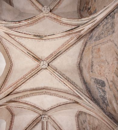 Zdjęcie nr 21: Zachowana dekoracja malarska znajduje się w tzw. starej zakrystii, określanej także jako oratorium królewskie. Dobudowano ją od północy do prezbiterium niepołomickiego kościoła. Jest to niewielka budowla na rzucie wydłużonego prostokąta, nakryta trójprzęsłowym krzyżowo-żebrowym sklepieniem, od wschodu zamknięta dwubocznie. Od zachodu w narożniku południowym widoczne jest załamanie muru, tworzącego dwie ściany wieżyczki schodowej. Do jej wnętrza prowadzi ostrołukowy portal. Oratorium oświetlają trzy ostrołukowe okna. Tylko czwarte, obecnie zamurowane, przeprute w murze północno-wschodnim pochodzi z czasów budowy kościoła. Stara zakrystia połączona jest z kościołem za pomocą ostrołukowego, profilowanego kamiennego portalu umieszczonego w środkowym przęśle ściany południowej. Na sklepieniu znajdują się rzeźbione zworniki z przedstawieniem w przęśle wschodnim głowy Chrystusa w nimbie krzyżowym, w środkowym maski liściastej, a w zachodnim motywów roślinnych. Podobnie rzeźbione motywy roślinne  pokrywają wsporniki, na które spływają żebra. 
Zachowana polichromia tworzy z architekturą starej zakrystii harmonijną całość. Białe wysklepki sklepień otoczone są wielobarwnymi, namalowanymi wzdłuż żeber, iluzjonistyczno-geometrycznymi pasami imitującymi kamienne inkrustacje w typie &quot;arte cosmatesca&quot;. Pierwotnie polichromowane były także same żebra oraz rzeźbione zworniki i wsporniki. Pionowym rytmom barwnych pasów przeciwstawiają się na ścianie wschodniej, południowej i zachodniej dwa poziome, iluzjonistyczne malowane fryzy. Górny, w odcieniach brązów jest szerszy i przypomina gzyms. Przebiega w połowie wysokości ścian, na poziomie wsporników. Poniżej znajduje się drugi, o połowę węższy, skomponowany z wielobarwnych geometrycznych rozet w rombowych polach. Fryzy wyznaczają trzy strefy dekoracji. Dolny pas uległ zniszczeniu za wyjątkiem niewielkiego fragmentu iluzjonistycznie malowanej konsolki na ścianie południowej. Dla strefy środkowej głównej tło stanowi niebieska barwa. Niestety oba te pasy obecnie są mocno uszkodzone. 
Pierwotnie pas środkowy ścian zajmowały naturalnej wielkości postacie kobiece, ujęte powyżej kolan. Z namalowanych dwunastu świętych do naszych czasów przetrwało sześć - w całości cztery (na ścianie wschodniej, południowej i zachodniej) oraz jedna bez głowy (ściana południowa) i jedna w połowie (ściana zachodnia). Są to jasno lub ciemnowłose młode kobiety, trzymające palmy męczeństwa. Ubrane są w suknie z narzuconymi płaszczami w kolorach żółtym, oliwkowym, różowym, liliowym, brązowym i błękitnym. Jedna z nich, wyobrażona ponad wejściem na klatkę schodową w wieżyczce, jest ukazana jako kobieta w podeszłym wieku z okrytą głową i dłońmi uniesionymi na wysokość piersi w geście orantki. Głowy męczennic i orantki okalają plastycznie, tłoczone w zaprawie nimby zdobione promieniami. Na niektórych głowach dziewic zachowały się ślady namalowanych brązową farbą koron o niskich sterczynach w kształcie heraldycznych lilii. 
W ścianie północno-wschodniej dwubocznego zamknięcia znajduje się obecnie zamurowane lancetowate, ostrołukowe okno z fragmentami polichromii w glifie okiennym. Pierwotnie tworzyło ją dziesięć czterolistnych obramowań wpisanych w romby, umieszczonych jeden nad drugim. Przedstawiono w nich w półpostaci aniołów z głowami otoczonymi nimbami. W dolnej części okno do  poziomu gotyckich wsporników otacza iluzjonistycznie malowana dekoracja utworzona z motywów kamiennych płyt.  
W górnej strefie oratorium wyobrażono cykl hagiograficzny, składający się z sześciu scen namalowanych w ostrołukowych polach, wyznaczonych łukami tarczowymi sklepień i ujętych w obramienia z plastycznie malowanych zębów. Ograniczający je od dołu, iluzjonistycznie malowany, jakby wystający gzyms nadaje przedstawieniom teatralną głębie. 
Na ścianie południowo-wschodniej przedstawiono bliżej niezidentyfikowaną scenę męczeństwa. Na tle ochrowo-żółtej architektury ukazano z lewej strony na pierwszym planie grupę  rycerzy, z których dwóch widocznych jest w całej postaci w średniowiecznych zbrojach stylizowanych na rzymskie, w hełmach i z ostrołukowymi tarczami trzymanymi w lewych rękach. Ich odzież ma kolor błękitny, granatowy, czerwony, fioletowy, cynobrowy. Rycerze lekko unoszą głowy w stronę półpostaci wychylającej się z okna loggi w górnej części architektury. Był to zapewne władca, dziś jego postać zachowała się tylko fragmentarycznie. Postać z okna wskazuje palcem na centralnie ukazany kocioł zawieszony pod arkadą, stanowiącą część architektury tła. Widoczna w nim jest w półpostaci jasnowłosa kobieta w białej sukni na ramiączkach z modlitewnie złożonymi rękami na piersi. Jej głowę otacza nimb. Kocioł wisi na haku za półokrągły uchwyt, pod nim pali się ognisko. Z prawej strony kotła widoczna jest fragmentarycznie zachowana postać rycerza w zbroi, który oburącz długim kijem miesza w kotle. 
Na prawo od sceny męczeństwa na ścianie południowej namalowano scenę określaną jako &quot;przed władcą&quot;. W centrum przedstawienia na tle architektury wyobrażono tron z zasiadającym na nim władcą. Jest to brodaty mężczyzna ukazany z profilu z koroną na głowie, który w prawej dłoni unosi berło skierowane w stronę przyprowadzonej do niego kobiety. Tron i architektoniczne jego obramienie malowane jest w kolorach brązu i ochry. Jego zaplecek dekoruje zawieszona pasiasta tkanina. Ciemnowłosy władca ubrany jest w turkusową szatę z narzuconym na ramiona brązowym płaszczem. Za tronem z lewej strony stoi paź o kędzierzawej fryzurze wsparty na trzymanym ostrzem w dół mieczu. Stojąca przed władcą kobieta ubrana jest w czerwoną długą suknię. Ma jasne włosy, a jej głowę okala nimb. Ręce ma skrzyżowane i związane na wysokości pasa. Obok niej stoi inna postać także w długiej szacie, z uniesioną prawą dłonią. Za świętą widoczne są inne postacie, niestety skala zniszczenia malowidła uniemożliwia ich opis i identyfikację. 
Trzecie malowidło, usytuowane nad wejściem do oratorium, ukazuje scenę dysputyt. W centrum przedstawienia pod architektonicznym zadaszeniem w formie portyku lub altany o kasetonowym stropie, wspartym na dwóch czworobocznych filarach, ukazano widoczne z profilu trzy siedzące  kobiety. Jedna z lewej strony a dwie naprzeciwko z prawej. Kobieta z lewej  ma odkryte jasne, długie włosy. Jej głowę otacza nimb. Na wysokość piersi unosi obie dłonie, sprawiając wrażenie, jakby w nich trzymała owalny przedmiot. Ubrana jest w ciemnoczerwoną długą suknię, zakrywającą nogi. Naprzeciw niej siedzą dwie inne niewiasty o długich, jasnych włosach w prostych koronach na głowach. Jedna z nich unosi swoją prawą rękę. Obie ubrane są w długie suknie w kolorze ochry. Za nimi pomiędzy filarami widoczna jest rozpięta zasłona w pionowe oliwkowe, zielone, białe i czerwone pasy. Na podłodze leży dywan dekorowany w żółte, zielone, niebieskie i czerwone pasy. 
Mocno zniszczone w dolnej części czwarte przedstawienie ilustruje scenę chłosty. Z lewej strony kompozycji wyobrażono budowlę z architektoniczną loggią, z której w półpostaci wychyla się władca. W prawej ręce poziomo trzyma berło skierowane w stronę grupy osób, za którymi wykonywana jest kara chłosty. Władca, podobnie jak w drugiej scenie, został ukazany jako mężczyzna o ciemnym zaroście i takich samych włosach. Na głowie ma koronę. Ubrany jest w brązowe szaty o różnych odcieniach. Centralnie przedstawioną stłoczoną grupę tworzy czterech żołnierzy oraz starszy mężczyzna w zawoju na głowie z siwą, długą brodą. Żołnierze mają zbroje i hełmy. Jeden z nich, najbliżej stojący z lewej przedstawiony został w profilu z głową i prawą ręką skierowaną w stronę króla. Także w stronę władcy zwrócony jest mężczyzna w zawoju na głowie z dwiema dłońmi uniesionymi na wysokość piersi. Z prawej strony kompozycji namalowano, dziś fragmentarycznie zachowany, rodzaj drewnianej szubienicy, utworzonej z poprzecznie zawieszonego na drewnianych podporach drążka. Nad dróżką do góry nogami wisi postać (dziś zniszczona), z której zachowały się jedynie stopy związane w kostkach sznurem. W jej stronę zwraca się jeden z żołnierzy ze środkowej grupy. Po prawej stronie szubienicy widoczna jest część postaci oprawcy, z której zachował się tylko fragment głowy oraz uniesiona lewa ręka z drewnianą pałką. 
Dwie ostatnie sceny umieszczono na zachodnim murze oratorium. Pierwsza z nich przedstawia strącenie bożka i została połączona z drugą ukazującą uwolnienia z więzienia. Część centralną kompozycji stanowi potrzaskana, wywracająca się kolumna, z której spada szatan w postaci żywego demona pokrytego sierścią. Strącił go widoczny w półpostaci w górnej części malowidła anioł trzymający w prawej ręce miecz. Z lewej strony kompozycji  klęczy na skalistej ziemi święta ubrana w długą ciemnoczerwoną suknię. Niestety nie zachowała się górna część jej postaci. Za nią stoi stłoczona grupa przerażonych świadków tego wydarzenia. Natomiast z prawej strony malowidła wyobrażono scenę uwolnienia z więzienia. Jej zasadniczym elementem jest architektoniczna struktura nawiązująca kształtem do wieży mieszkalnej, więzienia bądź bramy miejskiej. Święta ze związanymi rękami w ciemnoczerwonej sukni wychodzi z niej z prawej strony. W centrum budowli widoczne jest półokrągłe okno, a w nim zapewne jej popiersie o długich jasnych włosach, trzymające w dłoniach jakiś przedmiot. Wszystkie sceny cyklu w jedną całość wiąże gładkie niebieskie tło. Niezachowana kompozycja polichromii na ścianie północnej musiała odbiegać swym układem od pozostałych ścian. Płaszczyzna ścian została podzielona za pomocą węższego dolnego fryzu na dwie strefy. Górną część najprawdopodobniej zajmowały duże postacie stojące (fragment jednej z nich zachował się w sąsiedztwie okna w ścianie północno-wschodniej). Pod fryzem w części dolnej najprawdopodobniej była namalowana iluzjonistycznie wisząca kotara.   
    




