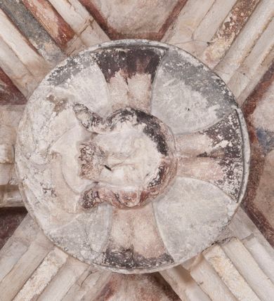 Zdjęcie nr 19: Zachowana dekoracja malarska znajduje się w tzw. starej zakrystii, określanej także jako oratorium królewskie. Dobudowano ją od północy do prezbiterium niepołomickiego kościoła. Jest to niewielka budowla na rzucie wydłużonego prostokąta, nakryta trójprzęsłowym krzyżowo-żebrowym sklepieniem, od wschodu zamknięta dwubocznie. Od zachodu w narożniku południowym widoczne jest załamanie muru, tworzącego dwie ściany wieżyczki schodowej. Do jej wnętrza prowadzi ostrołukowy portal. Oratorium oświetlają trzy ostrołukowe okna. Tylko czwarte, obecnie zamurowane, przeprute w murze północno-wschodnim pochodzi z czasów budowy kościoła. Stara zakrystia połączona jest z kościołem za pomocą ostrołukowego, profilowanego kamiennego portalu umieszczonego w środkowym przęśle ściany południowej. Na sklepieniu znajdują się rzeźbione zworniki z przedstawieniem w przęśle wschodnim głowy Chrystusa w nimbie krzyżowym, w środkowym maski liściastej, a w zachodnim motywów roślinnych. Podobnie rzeźbione motywy roślinne  pokrywają wsporniki, na które spływają żebra. 
Zachowana polichromia tworzy z architekturą starej zakrystii harmonijną całość. Białe wysklepki sklepień otoczone są wielobarwnymi, namalowanymi wzdłuż żeber, iluzjonistyczno-geometrycznymi pasami imitującymi kamienne inkrustacje w typie &quot;arte cosmatesca&quot;. Pierwotnie polichromowane były także same żebra oraz rzeźbione zworniki i wsporniki. Pionowym rytmom barwnych pasów przeciwstawiają się na ścianie wschodniej, południowej i zachodniej dwa poziome, iluzjonistyczne malowane fryzy. Górny, w odcieniach brązów jest szerszy i przypomina gzyms. Przebiega w połowie wysokości ścian, na poziomie wsporników. Poniżej znajduje się drugi, o połowę węższy, skomponowany z wielobarwnych geometrycznych rozet w rombowych polach. Fryzy wyznaczają trzy strefy dekoracji. Dolny pas uległ zniszczeniu za wyjątkiem niewielkiego fragmentu iluzjonistycznie malowanej konsolki na ścianie południowej. Dla strefy środkowej głównej tło stanowi niebieska barwa. Niestety oba te pasy obecnie są mocno uszkodzone. 
Pierwotnie pas środkowy ścian zajmowały naturalnej wielkości postacie kobiece, ujęte powyżej kolan. Z namalowanych dwunastu świętych do naszych czasów przetrwało sześć - w całości cztery (na ścianie wschodniej, południowej i zachodniej) oraz jedna bez głowy (ściana południowa) i jedna w połowie (ściana zachodnia). Są to jasno lub ciemnowłose młode kobiety, trzymające palmy męczeństwa. Ubrane są w suknie z narzuconymi płaszczami w kolorach żółtym, oliwkowym, różowym, liliowym, brązowym i błękitnym. Jedna z nich, wyobrażona ponad wejściem na klatkę schodową w wieżyczce, jest ukazana jako kobieta w podeszłym wieku z okrytą głową i dłońmi uniesionymi na wysokość piersi w geście orantki. Głowy męczennic i orantki okalają plastycznie, tłoczone w zaprawie nimby zdobione promieniami. Na niektórych głowach dziewic zachowały się ślady namalowanych brązową farbą koron o niskich sterczynach w kształcie heraldycznych lilii. 
W ścianie północno-wschodniej dwubocznego zamknięcia znajduje się obecnie zamurowane lancetowate, ostrołukowe okno z fragmentami polichromii w glifie okiennym. Pierwotnie tworzyło ją dziesięć czterolistnych obramowań wpisanych w romby, umieszczonych jeden nad drugim. Przedstawiono w nich w półpostaci aniołów z głowami otoczonymi nimbami. W dolnej części okno do  poziomu gotyckich wsporników otacza iluzjonistycznie malowana dekoracja utworzona z motywów kamiennych płyt.  
W górnej strefie oratorium wyobrażono cykl hagiograficzny, składający się z sześciu scen namalowanych w ostrołukowych polach, wyznaczonych łukami tarczowymi sklepień i ujętych w obramienia z plastycznie malowanych zębów. Ograniczający je od dołu, iluzjonistycznie malowany, jakby wystający gzyms nadaje przedstawieniom teatralną głębie. 
Na ścianie południowo-wschodniej przedstawiono bliżej niezidentyfikowaną scenę męczeństwa. Na tle ochrowo-żółtej architektury ukazano z lewej strony na pierwszym planie grupę  rycerzy, z których dwóch widocznych jest w całej postaci w średniowiecznych zbrojach stylizowanych na rzymskie, w hełmach i z ostrołukowymi tarczami trzymanymi w lewych rękach. Ich odzież ma kolor błękitny, granatowy, czerwony, fioletowy, cynobrowy. Rycerze lekko unoszą głowy w stronę półpostaci wychylającej się z okna loggi w górnej części architektury. Był to zapewne władca, dziś jego postać zachowała się tylko fragmentarycznie. Postać z okna wskazuje palcem na centralnie ukazany kocioł zawieszony pod arkadą, stanowiącą część architektury tła. Widoczna w nim jest w półpostaci jasnowłosa kobieta w białej sukni na ramiączkach z modlitewnie złożonymi rękami na piersi. Jej głowę otacza nimb. Kocioł wisi na haku za półokrągły uchwyt, pod nim pali się ognisko. Z prawej strony kotła widoczna jest fragmentarycznie zachowana postać rycerza w zbroi, który oburącz długim kijem miesza w kotle. 
Na prawo od sceny męczeństwa na ścianie południowej namalowano scenę określaną jako &quot;przed władcą&quot;. W centrum przedstawienia na tle architektury wyobrażono tron z zasiadającym na nim władcą. Jest to brodaty mężczyzna ukazany z profilu z koroną na głowie, który w prawej dłoni unosi berło skierowane w stronę przyprowadzonej do niego kobiety. Tron i architektoniczne jego obramienie malowane jest w kolorach brązu i ochry. Jego zaplecek dekoruje zawieszona pasiasta tkanina. Ciemnowłosy władca ubrany jest w turkusową szatę z narzuconym na ramiona brązowym płaszczem. Za tronem z lewej strony stoi paź o kędzierzawej fryzurze wsparty na trzymanym ostrzem w dół mieczu. Stojąca przed władcą kobieta ubrana jest w czerwoną długą suknię. Ma jasne włosy, a jej głowę okala nimb. Ręce ma skrzyżowane i związane na wysokości pasa. Obok niej stoi inna postać także w długiej szacie, z uniesioną prawą dłonią. Za świętą widoczne są inne postacie, niestety skala zniszczenia malowidła uniemożliwia ich opis i identyfikację. 
Trzecie malowidło, usytuowane nad wejściem do oratorium, ukazuje scenę dysputyt. W centrum przedstawienia pod architektonicznym zadaszeniem w formie portyku lub altany o kasetonowym stropie, wspartym na dwóch czworobocznych filarach, ukazano widoczne z profilu trzy siedzące  kobiety. Jedna z lewej strony a dwie naprzeciwko z prawej. Kobieta z lewej  ma odkryte jasne, długie włosy. Jej głowę otacza nimb. Na wysokość piersi unosi obie dłonie, sprawiając wrażenie, jakby w nich trzymała owalny przedmiot. Ubrana jest w ciemnoczerwoną długą suknię, zakrywającą nogi. Naprzeciw niej siedzą dwie inne niewiasty o długich, jasnych włosach w prostych koronach na głowach. Jedna z nich unosi swoją prawą rękę. Obie ubrane są w długie suknie w kolorze ochry. Za nimi pomiędzy filarami widoczna jest rozpięta zasłona w pionowe oliwkowe, zielone, białe i czerwone pasy. Na podłodze leży dywan dekorowany w żółte, zielone, niebieskie i czerwone pasy. 
Mocno zniszczone w dolnej części czwarte przedstawienie ilustruje scenę chłosty. Z lewej strony kompozycji wyobrażono budowlę z architektoniczną loggią, z której w półpostaci wychyla się władca. W prawej ręce poziomo trzyma berło skierowane w stronę grupy osób, za którymi wykonywana jest kara chłosty. Władca, podobnie jak w drugiej scenie, został ukazany jako mężczyzna o ciemnym zaroście i takich samych włosach. Na głowie ma koronę. Ubrany jest w brązowe szaty o różnych odcieniach. Centralnie przedstawioną stłoczoną grupę tworzy czterech żołnierzy oraz starszy mężczyzna w zawoju na głowie z siwą, długą brodą. Żołnierze mają zbroje i hełmy. Jeden z nich, najbliżej stojący z lewej przedstawiony został w profilu z głową i prawą ręką skierowaną w stronę króla. Także w stronę władcy zwrócony jest mężczyzna w zawoju na głowie z dwiema dłońmi uniesionymi na wysokość piersi. Z prawej strony kompozycji namalowano, dziś fragmentarycznie zachowany, rodzaj drewnianej szubienicy, utworzonej z poprzecznie zawieszonego na drewnianych podporach drążka. Nad dróżką do góry nogami wisi postać (dziś zniszczona), z której zachowały się jedynie stopy związane w kostkach sznurem. W jej stronę zwraca się jeden z żołnierzy ze środkowej grupy. Po prawej stronie szubienicy widoczna jest część postaci oprawcy, z której zachował się tylko fragment głowy oraz uniesiona lewa ręka z drewnianą pałką. 
Dwie ostatnie sceny umieszczono na zachodnim murze oratorium. Pierwsza z nich przedstawia strącenie bożka i została połączona z drugą ukazującą uwolnienia z więzienia. Część centralną kompozycji stanowi potrzaskana, wywracająca się kolumna, z której spada szatan w postaci żywego demona pokrytego sierścią. Strącił go widoczny w półpostaci w górnej części malowidła anioł trzymający w prawej ręce miecz. Z lewej strony kompozycji  klęczy na skalistej ziemi święta ubrana w długą ciemnoczerwoną suknię. Niestety nie zachowała się górna część jej postaci. Za nią stoi stłoczona grupa przerażonych świadków tego wydarzenia. Natomiast z prawej strony malowidła wyobrażono scenę uwolnienia z więzienia. Jej zasadniczym elementem jest architektoniczna struktura nawiązująca kształtem do wieży mieszkalnej, więzienia bądź bramy miejskiej. Święta ze związanymi rękami w ciemnoczerwonej sukni wychodzi z niej z prawej strony. W centrum budowli widoczne jest półokrągłe okno, a w nim zapewne jej popiersie o długich jasnych włosach, trzymające w dłoniach jakiś przedmiot. Wszystkie sceny cyklu w jedną całość wiąże gładkie niebieskie tło. Niezachowana kompozycja polichromii na ścianie północnej musiała odbiegać swym układem od pozostałych ścian. Płaszczyzna ścian została podzielona za pomocą węższego dolnego fryzu na dwie strefy. Górną część najprawdopodobniej zajmowały duże postacie stojące (fragment jednej z nich zachował się w sąsiedztwie okna w ścianie północno-wschodniej). Pod fryzem w części dolnej najprawdopodobniej była namalowana iluzjonistycznie wisząca kotara.   
    




