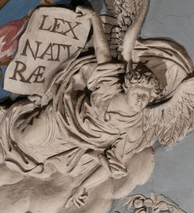 Zdjęcie nr 54: Pełnoplastyczna figura Chrystusa Ukrzyżowanego umieszczona jest na belce tęczowej. Chrystus został ukazany na krzyżu w dużym zwisie na wyprężonych ramionach, tworzących kształt litery „V”. Jego korpus jest wydłużony i esowato wygięty z silnym zaznaczeniem modelunku anatomicznego. Nogi zostały lekko zgięte w kolanach i nieznacznie odchylone w bok, zaś stopy skrzyżowane i przybite jednym gwoździem do krzyża. Wyeksponowano muskulaturę kończyn, żebra i ranę w boku. Głowa Zbawiciela opada na prawe ramię. Jego twarz jest podłużna, z długim, prostym nosem, o zamkniętych oczach i otwartych ustach w grymasie bólu. Otacza ją gęsta, kręcona broda oraz długie, ciemne włosy opadające lokami na oba ramiona. Na głowie widoczna jest cierniowa korona o długich kolcach. Biodra Zbawiciela zostały przepasane długim perizonium sięgającym kolan. Jest ono na środku drapowane za pomocą misowych fałd układających się poprzecznie, zaś po bokach zostało wywinięte za pomocą dwóch festonów opadających kaskadowo wzdłuż ud. Ponad głową Chrystusa umieszczony jest złocony titulus o kształtach barokowych w formie kartusza z napisem „INRI”.Rzeźba jest polichromowana, a perizonium srebrzone z zastosowaniem laserunków.