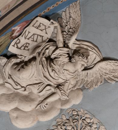 Zdjęcie nr 56: Pełnoplastyczna figura Chrystusa Ukrzyżowanego umieszczona jest na belce tęczowej. Chrystus został ukazany na krzyżu w dużym zwisie na wyprężonych ramionach, tworzących kształt litery „V”. Jego korpus jest wydłużony i esowato wygięty z silnym zaznaczeniem modelunku anatomicznego. Nogi zostały lekko zgięte w kolanach i nieznacznie odchylone w bok, zaś stopy skrzyżowane i przybite jednym gwoździem do krzyża. Wyeksponowano muskulaturę kończyn, żebra i ranę w boku. Głowa Zbawiciela opada na prawe ramię. Jego twarz jest podłużna, z długim, prostym nosem, o zamkniętych oczach i otwartych ustach w grymasie bólu. Otacza ją gęsta, kręcona broda oraz długie, ciemne włosy opadające lokami na oba ramiona. Na głowie widoczna jest cierniowa korona o długich kolcach. Biodra Zbawiciela zostały przepasane długim perizonium sięgającym kolan. Jest ono na środku drapowane za pomocą misowych fałd układających się poprzecznie, zaś po bokach zostało wywinięte za pomocą dwóch festonów opadających kaskadowo wzdłuż ud. Ponad głową Chrystusa umieszczony jest złocony titulus o kształtach barokowych w formie kartusza z napisem „INRI”.Rzeźba jest polichromowana, a perizonium srebrzone z zastosowaniem laserunków.