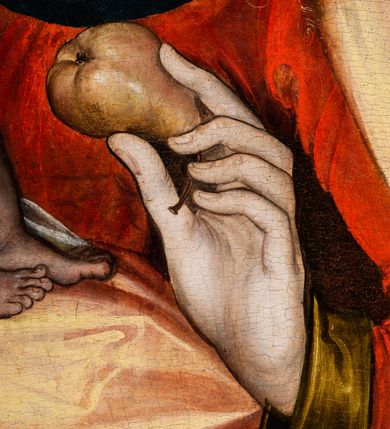 Zdjęcie nr 18: Deska wzmocniona dwoma szpongami. Obraz w formie stojącego prostokąta. W centrum przedstawienie Matki Boskiej ukazanej w półpostaci, zwróconej delikatnie w prawo, z głową przechyloną na prawe ramię. Prawą ręką podtrzymuje Dzieciątko, a w lewej, ugiętej trzyma gruszkę. Twarz pociągła, owalna, o delikatnych rysach, z dużymi, migdałowymi oczami, prostym nosem i pełnymi ustami. Włosy falowane, laserunkowe, fakturowane, z przedziałkiem na środku, ściśle przylegają do głowy, opadają na ramiona. Maria jest ubrana w czerwoną suknię z lamówką wokół szyi oraz narzucony na ramiona, ciemny płaszcz z żółtą podszewką, opadający na kolana dużą połacią tkaniny. Dzieciątko niewielkiej postury, zwrócone w trzech czwartych w lewo, nagie, podtrzymywane na pieluszce, w obu wyciągniętych przed siebie dłoniach trzyma kiść winnego grona. Twarz Jezusa jest okrągła, o pełnych policzkach i wyraźnej linii podbródka; duże, szeroko otwarte oczy, mały, zadarty nos, usta pełne. Włosy jasne, krótkie, kręcone, fakturowane. Postacie na ciemnym, jednolitym tle. U spodu obrazu parapet z leżącymi nań orzechami włoskim i laskowym oraz z gruszką; w prawym rogu księga. W lewej części obrazu, w połowie wysokości data: „1526”. Kolorystyka stonowana, laserunek, delikatne przejścia tonalne.