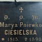 Zdjęcie nr 1: Tablica w kształcie leżącego prostokąta z wyrytym poniżej niewielkiego krzyża łacińskiego złoconym napisem „D(EO) O(PTIMO) M(AXIMO) / Marya Pniewko / CIESIELSKA / *1813. +1890. / prosi o westchnienie do Boga”. 