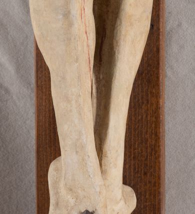 Zdjęcie nr 11: Rzeźba Chrystusa przybita do krzyża trzema gwoździami, pełna. Zbawiciel ukazany w typie Cristo morte, w lekkim zwisie, z głową pochyloną na prawą stronę. Jezus ma szczupłą sylwetkę ciała, duże stopy, delikatnie podkreśloną linię żeber. Jego twarz jest podłużna, ma długi nos, delikatnie otwarte usta i zamknięte oczy, krótką brodę, zwiniętą na końcu w dwa pukle. Ma długie, brązowe włosy spływające falami do przodu, a na głowie założoną koronę cierniową złożoną z prostych zielonych gałązek. Biodra oplata złocone perizonium z zieloną podszewką, zawiązane pośrodku. Z dłoni, stóp i boku Chrystusa spływają strużki krwi. Polichromia ciała naturalistyczna, perizonium złocone. Nad głową Jezusa titulus w formie banderoli z napisem „I. N. R. I.”. Krzyż prosty, gładki, malowany na brązowo.
