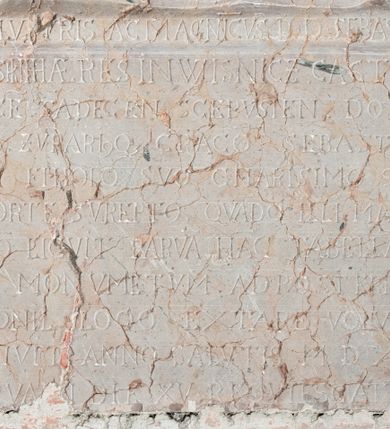 Zdjęcie nr 3: Epitafium w kształcie prostokąta stojącego, ujęte prostokątną profilowaną ramą. Pole w ramie podzielone poziomo na dwie części; w górnym płaskorzeźbiona figura nagiego dziecka leżącego frontalnie, z głową wspartą na prawej ręce, opartej łokciem na czaszce. Prawa rączka ułożona wzdłuż ciała. Prawa noga zgięta w kolanie, lewa wyprostowana, ułożona na prawej. Główka dziecka o okrągłym kształcie, wąskich ustach i okrągłych przymkniętych oczach. Ciało z zaznaczoną muskulaturą, brzuch wydatny. Dziecko ułożone na tkaninie, która przewija się pomiędzy nóżkami. Pod płaskorzeźbą, w dolnej części epitafium inskrypcja łacińska, majuskułą: ILLV[S]TRIS AC MAGNICVS D(OMINVS) D(OMINVS) SEBASTIANVS / LVBOMIIRSKI HAERES IN WISNICZ CASTELLANVS / MALOGOSCE(NSIS) SA(N)DECEN[SIS] SCEPVSIEN[SIS DOBCICIEN[SIS] / CAPITANE(VS) ZVPARI(VS)Q[VE] CRACO(VIENSIS) SEBASTIANO / SEMESTRI FILLIOLO SVO CHARISIMO SIBI IMMA/TVRA MORTE SVPERTO. QVA(N)DO ILLI MAIORA P[RO]PAE/STARE NO(N) LICVIT PARVA(M) HA(E)C TABELLA(M) AMORIS / PATERNI MONVMENTVM. AD POST ERITATE(M) O(MN)IS/ PATRIMONII LOCO EXTARE VOLVIT QVI / OBDORMIVIT ANNO SALVTIS M.DXC IV MEN/SIS [R] EBRVA [RI]I DIE XV REQVIESCAT I(N) D(OMI)NO.