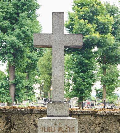 Zdjęcie nr 1: Nagrobek wolnostojący w kształcie krzyża ustawionego na dwustrefowym, wysokim cokole. Na przednim boku cokołu wyryto napis zaczynający się od słów: 
„Ś(WIĘTEJ) P(AMIĘCI) / TEKLI WĘŻYK / PRZEŁOŻONEJ SIÓSTR MIŁOSIERDZIA / I FUNDATORCE DOMU W TENCZYNKU / JUBILATCE / UR(ODZONEJ) 27 STYCZNIA 1830 W KRAKOWIE / ZM(ARŁEJ) 23 STYCZNIA 1911 W TENCZYNKU / POCHOWANEJ W KRAKOWIE / STAWIAJĄ TEN KRZYŻ WDZIĘCZNE / I KOCHAJĄCE SERCA Z PROŚBĄ […]”
Poniżej „DOBRY JEZU A NASZ PANIE / DAJ JEJ WIECZNE SPOCZYWANIE”