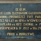 Zdjęcie nr 1: Epitafium w kształcie leżącego prostokąta w profilowanej kamiennej ramie. W polu inskrypcja „D(EO) O(PTIMO) M(AXIMO) / Ś(WIĘTEJ) P(AMIĘCI) KS(IĄDZ) LEON SLEPOWRON GĄSIOROWSKI / KANONIK i PROBOSZCZ TUT(EJSZEJ) PARAFJI / PRZEZ 48 LAT. UR(ODZONY) 1841 R(OKU) WYŚWIĘCONY / NA KAPŁANA W R(OKU) 1872. ZASNĄŁ W PANU / W BISKUPICACH 6. IV. 1932 W 91 R(OKU) ŻYCIA / PROSI O MODLITWĘ”.

