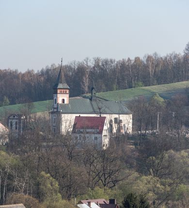 Zdjęcie nr 8: 