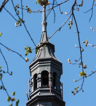 Zdjęcie nr 77: Kościół jest zlokalizowany na wzgórzu, w centrum wsi. Murowany z cegły, w wątku polskim, z zendrówką. Kościół jest orientowany, założony na planie prostokąta, jednonawowy, trójprzęsłowy, z dobudowanymi kruchtami od zachodu i południa. Prezbiterium oddzielone od nawy łukiem tęczowym, dwuprzęsłowe na planie prostokąta, zamknięte prostą ścianą, z dwukondygnacyjną przybudówką zakończoną trójbocznie. Nawa została przykryta sklepieniem sieciowym. Ściana południowa nawy przepruta trzema prostokątnymi oknami, zamkniętymi łukiem ostrym. Okna w nawie i prezbiterium dwudzielne, z sześcioma mniejszymi kwaterami. Przybudówka przy prezbiterium na parterze mieści zakrystię, a na piętrze składzik. Kruchta południowa sklepiona kolebką. Z kruchty do nawy prowadzi ostrołukowy, kamienny portal o dwóch archiwoltach. Kruchta zachodnia, obecnie kaplica św. Franciszka, sklepiona spłaszczoną, ukrytą kopułą na pendentywach. Ściana zachodnia kruchty przepruta dwoma ostrołukowymi oknami i ponad nimi okrągłym oknem. Od południa ostrołukowe wejście. Kościół o zróżnicowanej wysokości nawy i prezbiterium. Ściany opięte szkarpami. Na jednej trzeciej wysokości ścian oraz w zwieńczeniu nawy i prezbiterium profilowany gzyms. Od zachodu wklęsło-wypukły szczyt. Nawa, prezbiterium i dwie kruchty przykryte dachem dwuspadowym. Nad drugim przęsłem prezbiterium wieżyczka na sygnaturkę na planie ośmioboku, z profilowanym gzymsem i latarnią, zwieńczoną hełmem z kulą i krzyżem. Wejście do kościoła od południa i zachodu. Okna nawy i prezbiterium z kamiennym obramieniem. Nad wejściem do kruchty południowej formowany w cegle ostry łuk. Analogiczny łuk nad oknami w ścianie zachodniej i nad blendą w ścianie północnej. W przybudówce do prezbiterium dwie kondygnacje okien zamkniętych łukiem ostrym. W ścianie frontowej prostokątne wejście, a nad nim półkoliście zamknięta wnęka z grupą Ukrzyżowania. 


