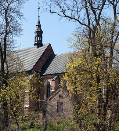 Zdjęcie nr 79: Kościół jest zlokalizowany na wzgórzu, w centrum wsi. Murowany z cegły, w wątku polskim, z zendrówką. Kościół jest orientowany, założony na planie prostokąta, jednonawowy, trójprzęsłowy, z dobudowanymi kruchtami od zachodu i południa. Prezbiterium oddzielone od nawy łukiem tęczowym, dwuprzęsłowe na planie prostokąta, zamknięte prostą ścianą, z dwukondygnacyjną przybudówką zakończoną trójbocznie. Nawa została przykryta sklepieniem sieciowym. Ściana południowa nawy przepruta trzema prostokątnymi oknami, zamkniętymi łukiem ostrym. Okna w nawie i prezbiterium dwudzielne, z sześcioma mniejszymi kwaterami. Przybudówka przy prezbiterium na parterze mieści zakrystię, a na piętrze składzik. Kruchta południowa sklepiona kolebką. Z kruchty do nawy prowadzi ostrołukowy, kamienny portal o dwóch archiwoltach. Kruchta zachodnia, obecnie kaplica św. Franciszka, sklepiona spłaszczoną, ukrytą kopułą na pendentywach. Ściana zachodnia kruchty przepruta dwoma ostrołukowymi oknami i ponad nimi okrągłym oknem. Od południa ostrołukowe wejście. Kościół o zróżnicowanej wysokości nawy i prezbiterium. Ściany opięte szkarpami. Na jednej trzeciej wysokości ścian oraz w zwieńczeniu nawy i prezbiterium profilowany gzyms. Od zachodu wklęsło-wypukły szczyt. Nawa, prezbiterium i dwie kruchty przykryte dachem dwuspadowym. Nad drugim przęsłem prezbiterium wieżyczka na sygnaturkę na planie ośmioboku, z profilowanym gzymsem i latarnią, zwieńczoną hełmem z kulą i krzyżem. Wejście do kościoła od południa i zachodu. Okna nawy i prezbiterium z kamiennym obramieniem. Nad wejściem do kruchty południowej formowany w cegle ostry łuk. Analogiczny łuk nad oknami w ścianie zachodniej i nad blendą w ścianie północnej. W przybudówce do prezbiterium dwie kondygnacje okien zamkniętych łukiem ostrym. W ścianie frontowej prostokątne wejście, a nad nim półkoliście zamknięta wnęka z grupą Ukrzyżowania. 


