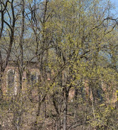 Zdjęcie nr 85: Kościół jest zlokalizowany na wzgórzu, w centrum wsi. Murowany z cegły, w wątku polskim, z zendrówką. Kościół jest orientowany, założony na planie prostokąta, jednonawowy, trójprzęsłowy, z dobudowanymi kruchtami od zachodu i południa. Prezbiterium oddzielone od nawy łukiem tęczowym, dwuprzęsłowe na planie prostokąta, zamknięte prostą ścianą, z dwukondygnacyjną przybudówką zakończoną trójbocznie. Nawa została przykryta sklepieniem sieciowym. Ściana południowa nawy przepruta trzema prostokątnymi oknami, zamkniętymi łukiem ostrym. Okna w nawie i prezbiterium dwudzielne, z sześcioma mniejszymi kwaterami. Przybudówka przy prezbiterium na parterze mieści zakrystię, a na piętrze składzik. Kruchta południowa sklepiona kolebką. Z kruchty do nawy prowadzi ostrołukowy, kamienny portal o dwóch archiwoltach. Kruchta zachodnia, obecnie kaplica św. Franciszka, sklepiona spłaszczoną, ukrytą kopułą na pendentywach. Ściana zachodnia kruchty przepruta dwoma ostrołukowymi oknami i ponad nimi okrągłym oknem. Od południa ostrołukowe wejście. Kościół o zróżnicowanej wysokości nawy i prezbiterium. Ściany opięte szkarpami. Na jednej trzeciej wysokości ścian oraz w zwieńczeniu nawy i prezbiterium profilowany gzyms. Od zachodu wklęsło-wypukły szczyt. Nawa, prezbiterium i dwie kruchty przykryte dachem dwuspadowym. Nad drugim przęsłem prezbiterium wieżyczka na sygnaturkę na planie ośmioboku, z profilowanym gzymsem i latarnią, zwieńczoną hełmem z kulą i krzyżem. Wejście do kościoła od południa i zachodu. Okna nawy i prezbiterium z kamiennym obramieniem. Nad wejściem do kruchty południowej formowany w cegle ostry łuk. Analogiczny łuk nad oknami w ścianie zachodniej i nad blendą w ścianie północnej. W przybudówce do prezbiterium dwie kondygnacje okien zamkniętych łukiem ostrym. W ścianie frontowej prostokątne wejście, a nad nim półkoliście zamknięta wnęka z grupą Ukrzyżowania. 


