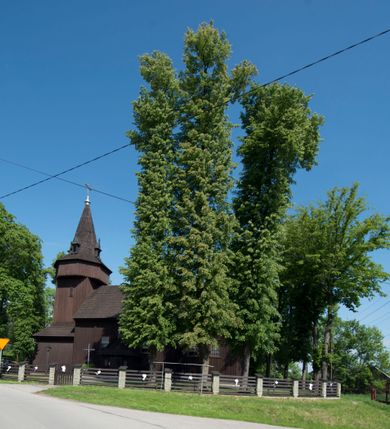 Zdjęcie nr 2: Kościół św. Jakuba w Palczowicach został wybudowany w roku 1894 w miejsce wcześniejszego kościoła z roku 1498. Kościół halowy, na kamiennej podmurówce, wzniesiony z drewna.  Kościół jest jednonawowy, orientowany.  Po jego zachodniej stronie szeroka, czworoboczna wieża nakryta ośmiobocznym hełmem. Pod hełmem również ośmioboczny szeroki, drewniany kandelabr. Hełm strzelisty, kryty gontem, zwieńczony metalowym krzyżem. Z czterech stron hełmu metalowe wykusze okienne  ze stylizowanymi sterczynami. Po czterech stronach korpusu wieży w jego wysokości małe otwory okienne  zwieńczone ostrokątnie. Korpus halowy nakryty dwuspadowym dachem z gontu.  We wschodniej części dachu ośmioboczna metalowa sygnaturka również zwieńczona krzyżem. Jej hełm strzelisty z pokryciem metalowym. W korpusie od południa i północy po dwa prostokątne otwory okienne z bliźniaczymi zamkniętymi ostrołukowo kwaterami. Prezbiterium niższe i węższe w stosunku do nawy, kryte osobnym, dwuspadowym dachem gontowym, zamknięte trójbocznie. Po południowej stronie prezbiterium dwa otwory okienne analogiczne do zlokalizowanych w nawie. Po północnej stronie prezbiterium dobudowana murowana, tynkowana zakrystia z dachem jednospadowym, krytym blachą.  W zakrystii jeden czworokątny otwór okienny i osobne wejście po stronie wschodniej. Nad głównym wejściem do kościoła, z czworobocznymi, dwuskrzydłowymi drzwiami  wysunięte dwuspadowe zadaszenie Po bokach drzwi w połowie ich wysokości symetrycznie ułożone, czworokątne otwory okienne. Do południowej ściany nawy głównej przylegająca drewniana kruchta na planie prostokątnym z dwuspadowym zadaszeniem zwieńczonym krzyżem. Po obu stronach drzwi otwory okienne zwieńczone ostrokątnie.