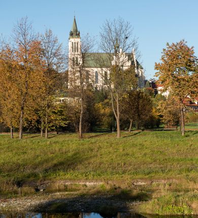 Zdjęcie nr 26: Kościół św. Michała Archanioła jest usytuowany na wysokim wzniesieniu w centrum Mszany Dolnej, na północ od głównej drogi z Raby Niżnej do Kasiny Wielkiej. Teren przykościelny jest otoczony wysokim murem posadowionym na kamiennej podmurówce oraz słupkach z nieregularnych ciosów kamienia i z żeliwnym płotem. W części północnej muru zlokalizowana jest szeroka brama, a od strony południowo-wschodniej na teren przykościelny prowadzą wysokie schody i bramka w murze. 

Kościół jest orientowany, murowany, otynkowany, jednonawowy na rzucie krzyża łacińskiego z czworoboczną wieżą w fasadzie. Wnętrze tworzy wydłużone, zamknięte pięciobocznie, dwuprzęsłowe prezbiterium, które oddziela ściana arkady tęczowej. Nawa jest szersza, czteroprzęsłowa, nakryta sklepieniem krzyżowo-żebrowym. Ramiona transeptu zwyczajowo zwane kaplicami są jednoprzęsłowe, otwarte szerokimi arkadami do nawy. Sklepienie nad skrzyżowaniem nawy z transeptem gwiaździste. Prezbiterium z nawą są połączone szeroką, ostrołukową arkadą w ścianie tęczowej. Od północy i od południa do prezbiterium przylegają dwie zakrystie na planie prostokąta, zamknięte trójbocznie. Wejście do zakrystii zaznaczone wysoką ostrołukową arkadą. Na zachodniej ścianie nawy chór muzyczny, wsparty na dwóch kolumnach, dostępny klatką schodową od nawy. 

Nawę oświetlają umieszczone w południowych i północnych ścianach prostokątne, zamknięte ostrołukowo okna, takie same znajdują się w prezbiterium; w wieży okno koliste w pierwszej kondygnacji, a w wyższych ostrołukowe wąskie okienka zamknięte żaluzjami. Wszystkie okna w nawie i prezbiterium wypełnione są witrażami lub ozdobnymi przeszkleniami. Do kościoła prowadzi główne wejście od strony zachodniej oraz dwa mniejsze w przybudówkach przy zakrystiach.

W zewnętrznej elewacji kościoła widoczny jest niewysoki kamienny cokół, otynkowany. Prezbiterium, niższe od nawy, oszkarpowane. Nawa również oszkarpowana, nakryta dachem dwuspadowym z wieżą na sygnaturkę na skrzyżowaniu nawy z transeptem. Ramiona transeptu od strony północnej i południowej, a także nawa od strony wschodniej zakończone są wysokim szczytami schodkowymi, ze ścianami ozdobionymi ostrołukowymi blendami. Na zachodnim zakończeniu nawy znacznie niższy szczyt schodkowy. Do zachodniej fasady kościoła dostawiona jest wysoka założona na planie kwadratu wieża-dzwonnica w narożach wzmocniona kamiennymi szkarpami. W dolnej kondygnacji, na osi kościoła, prostokątne wejście do kruchty zaakcentowane dwoma stopniami oraz przedsionkiem w kształcie ostrołukowej arkady, zamkniętej dodatkowo trójkątnym szczytem pokrytym blaszanym daszkiem; powyżej rozglifione koliste okno. Po lewej stronie wejścia do kościoła w płytkiej wnęce umieszczone jest popiersie księdza Józefa Stabrawy z tablicą pamiątkową. 

