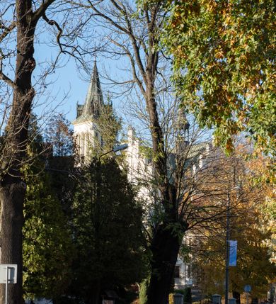 Zdjęcie nr 31: Kościół św. Michała Archanioła jest usytuowany na wysokim wzniesieniu w centrum Mszany Dolnej, na północ od głównej drogi z Raby Niżnej do Kasiny Wielkiej. Teren przykościelny jest otoczony wysokim murem posadowionym na kamiennej podmurówce oraz słupkach z nieregularnych ciosów kamienia i z żeliwnym płotem. W części północnej muru zlokalizowana jest szeroka brama, a od strony południowo-wschodniej na teren przykościelny prowadzą wysokie schody i bramka w murze. 

Kościół jest orientowany, murowany, otynkowany, jednonawowy na rzucie krzyża łacińskiego z czworoboczną wieżą w fasadzie. Wnętrze tworzy wydłużone, zamknięte pięciobocznie, dwuprzęsłowe prezbiterium, które oddziela ściana arkady tęczowej. Nawa jest szersza, czteroprzęsłowa, nakryta sklepieniem krzyżowo-żebrowym. Ramiona transeptu zwyczajowo zwane kaplicami są jednoprzęsłowe, otwarte szerokimi arkadami do nawy. Sklepienie nad skrzyżowaniem nawy z transeptem gwiaździste. Prezbiterium z nawą są połączone szeroką, ostrołukową arkadą w ścianie tęczowej. Od północy i od południa do prezbiterium przylegają dwie zakrystie na planie prostokąta, zamknięte trójbocznie. Wejście do zakrystii zaznaczone wysoką ostrołukową arkadą. Na zachodniej ścianie nawy chór muzyczny, wsparty na dwóch kolumnach, dostępny klatką schodową od nawy. 

Nawę oświetlają umieszczone w południowych i północnych ścianach prostokątne, zamknięte ostrołukowo okna, takie same znajdują się w prezbiterium; w wieży okno koliste w pierwszej kondygnacji, a w wyższych ostrołukowe wąskie okienka zamknięte żaluzjami. Wszystkie okna w nawie i prezbiterium wypełnione są witrażami lub ozdobnymi przeszkleniami. Do kościoła prowadzi główne wejście od strony zachodniej oraz dwa mniejsze w przybudówkach przy zakrystiach.

W zewnętrznej elewacji kościoła widoczny jest niewysoki kamienny cokół, otynkowany. Prezbiterium, niższe od nawy, oszkarpowane. Nawa również oszkarpowana, nakryta dachem dwuspadowym z wieżą na sygnaturkę na skrzyżowaniu nawy z transeptem. Ramiona transeptu od strony północnej i południowej, a także nawa od strony wschodniej zakończone są wysokim szczytami schodkowymi, ze ścianami ozdobionymi ostrołukowymi blendami. Na zachodnim zakończeniu nawy znacznie niższy szczyt schodkowy. Do zachodniej fasady kościoła dostawiona jest wysoka założona na planie kwadratu wieża-dzwonnica w narożach wzmocniona kamiennymi szkarpami. W dolnej kondygnacji, na osi kościoła, prostokątne wejście do kruchty zaakcentowane dwoma stopniami oraz przedsionkiem w kształcie ostrołukowej arkady, zamkniętej dodatkowo trójkątnym szczytem pokrytym blaszanym daszkiem; powyżej rozglifione koliste okno. Po lewej stronie wejścia do kościoła w płytkiej wnęce umieszczone jest popiersie księdza Józefa Stabrawy z tablicą pamiątkową. 

