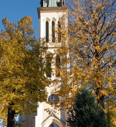 Zdjęcie nr 64: Kościół św. Michała Archanioła jest usytuowany na wysokim wzniesieniu w centrum Mszany Dolnej, na północ od głównej drogi z Raby Niżnej do Kasiny Wielkiej. Teren przykościelny jest otoczony wysokim murem posadowionym na kamiennej podmurówce oraz słupkach z nieregularnych ciosów kamienia i z żeliwnym płotem. W części północnej muru zlokalizowana jest szeroka brama, a od strony południowo-wschodniej na teren przykościelny prowadzą wysokie schody i bramka w murze. 

Kościół jest orientowany, murowany, otynkowany, jednonawowy na rzucie krzyża łacińskiego z czworoboczną wieżą w fasadzie. Wnętrze tworzy wydłużone, zamknięte pięciobocznie, dwuprzęsłowe prezbiterium, które oddziela ściana arkady tęczowej. Nawa jest szersza, czteroprzęsłowa, nakryta sklepieniem krzyżowo-żebrowym. Ramiona transeptu zwyczajowo zwane kaplicami są jednoprzęsłowe, otwarte szerokimi arkadami do nawy. Sklepienie nad skrzyżowaniem nawy z transeptem gwiaździste. Prezbiterium z nawą są połączone szeroką, ostrołukową arkadą w ścianie tęczowej. Od północy i od południa do prezbiterium przylegają dwie zakrystie na planie prostokąta, zamknięte trójbocznie. Wejście do zakrystii zaznaczone wysoką ostrołukową arkadą. Na zachodniej ścianie nawy chór muzyczny, wsparty na dwóch kolumnach, dostępny klatką schodową od nawy. 

Nawę oświetlają umieszczone w południowych i północnych ścianach prostokątne, zamknięte ostrołukowo okna, takie same znajdują się w prezbiterium; w wieży okno koliste w pierwszej kondygnacji, a w wyższych ostrołukowe wąskie okienka zamknięte żaluzjami. Wszystkie okna w nawie i prezbiterium wypełnione są witrażami lub ozdobnymi przeszkleniami. Do kościoła prowadzi główne wejście od strony zachodniej oraz dwa mniejsze w przybudówkach przy zakrystiach.

W zewnętrznej elewacji kościoła widoczny jest niewysoki kamienny cokół, otynkowany. Prezbiterium, niższe od nawy, oszkarpowane. Nawa również oszkarpowana, nakryta dachem dwuspadowym z wieżą na sygnaturkę na skrzyżowaniu nawy z transeptem. Ramiona transeptu od strony północnej i południowej, a także nawa od strony wschodniej zakończone są wysokim szczytami schodkowymi, ze ścianami ozdobionymi ostrołukowymi blendami. Na zachodnim zakończeniu nawy znacznie niższy szczyt schodkowy. Do zachodniej fasady kościoła dostawiona jest wysoka założona na planie kwadratu wieża-dzwonnica w narożach wzmocniona kamiennymi szkarpami. W dolnej kondygnacji, na osi kościoła, prostokątne wejście do kruchty zaakcentowane dwoma stopniami oraz przedsionkiem w kształcie ostrołukowej arkady, zamkniętej dodatkowo trójkątnym szczytem pokrytym blaszanym daszkiem; powyżej rozglifione koliste okno. Po lewej stronie wejścia do kościoła w płytkiej wnęce umieszczone jest popiersie księdza Józefa Stabrawy z tablicą pamiątkową. 

