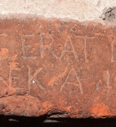 Zdjęcie nr 19: Kościół położony na południe od rynku, na placu otoczonym kamiennym murem z dwiema bramkami od zachodu i północy oraz bramką od południa. Kościół jednonawowy, dwuprzęsłowy, z węższym, niższym dwuprzęsłowym prezbiterium zamkniętym pięciobocznie. Do prezbiterium przylegają dwa aneksy, od północy dawna zakrystia (obecnie kaplica świętych Męczennic), zamknięta od wschodu dwubocznie, mająca w narożu z korpusem wieżyczkę schodową, a od południa zakrystia nowa, na planie prostokąta. Do nawy przylegają dwie kaplice: od północy kaplica Lubomirskich, założona na rzucie kwadratu, nakryta kopułą, a od południa kaplica Branickich, także na rzucie kwadratu z kopułą. Przy korpusie od zachodu piętrowa kruchta, pierwotnie otwarta w przyziemiu od północy, zachodu i południa ostrołukowymi arkadami. Arkada tęczy ostrołukowa. Sklepienie prezbiterium, zakrystii i obu kondygnacjach kruchty krzyżowo-żebrowe, w korpusie, pierwotnie trójprzęsłowym, pierwotnie sklepienie o polach trójkątnych z trójpromieniem, wsparte na dwóch dziesięciobocznych filarach, obecnie kolebkowo z lunetami. Żebra w prezbiterium i zakrystii o profilu żłobkowym, w kruchcie - gruszkowym. W prezbiterium służki cylindryczne, nadwieszone na oplecionych liśćmi wspornikach oraz rzeźbione zworniki z przedstawieniem Głowy Chrystusa i motywami roślinnymi. Ściany rozczłonkowane wykonanymi w czarnego marmuru arkadami, zamkniętymi łukiem półkolistymi. Okna ostrołukowe , obustronnie rozglifione z krzyżowym laskowaniem, w ścianie północnym prezbiterium ślepe. Kościół opięty przyporami. Elewacje na cokole, z profilowanymi gzymsami cokołowymi, kapnikowym i koronującym. Szczyty zwieńczone kwiatonami, z których zachodnie z krzyżem. Portale kamienne, ostrołukowe: zachodni profilowany, z ażurowym maswerkiem; drugi w prezbiterium do zakrystii, profilowany; trzeci do wieżyczki schodowej.